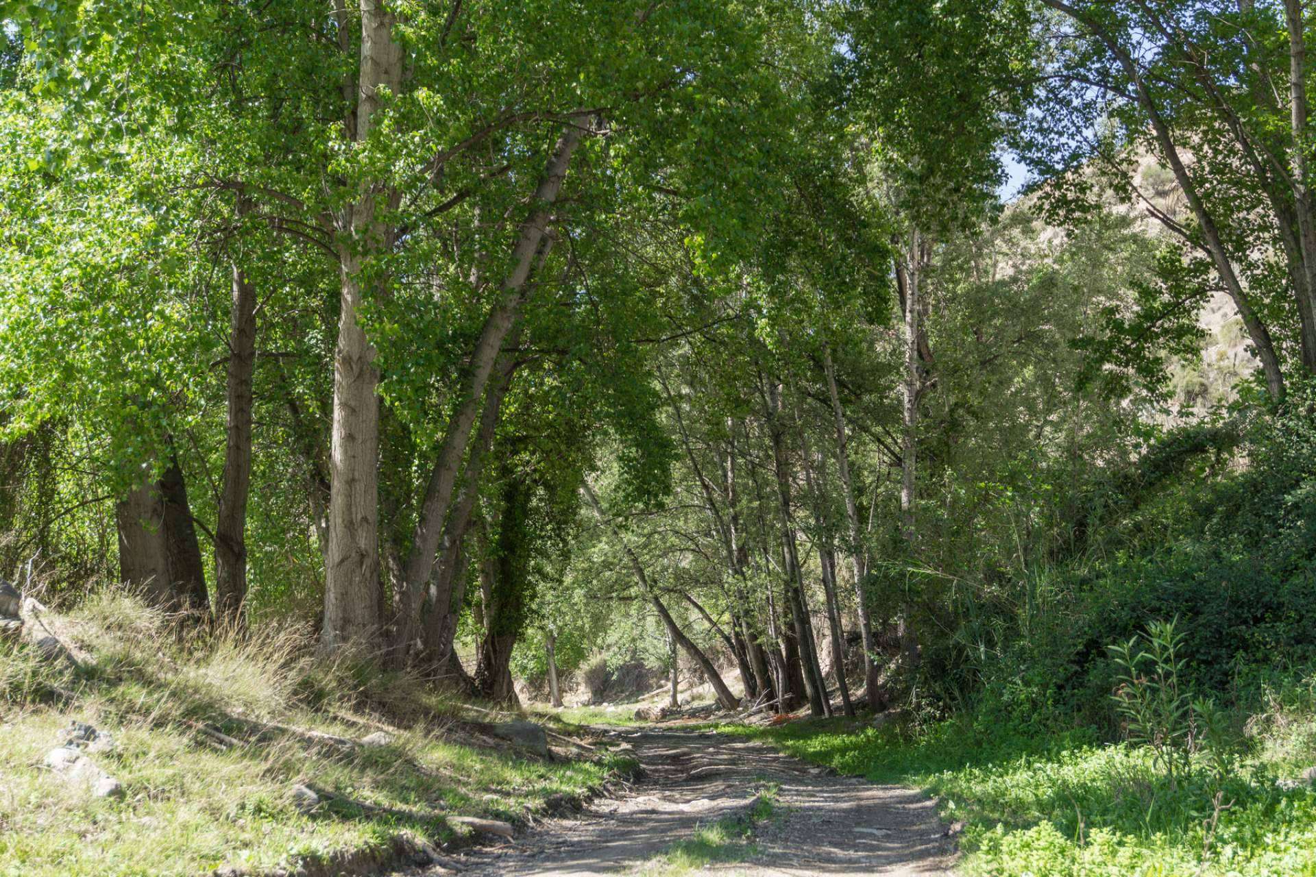Turismo Almanzora presenta 5 cosas importantes para hacer en el interior de Almería