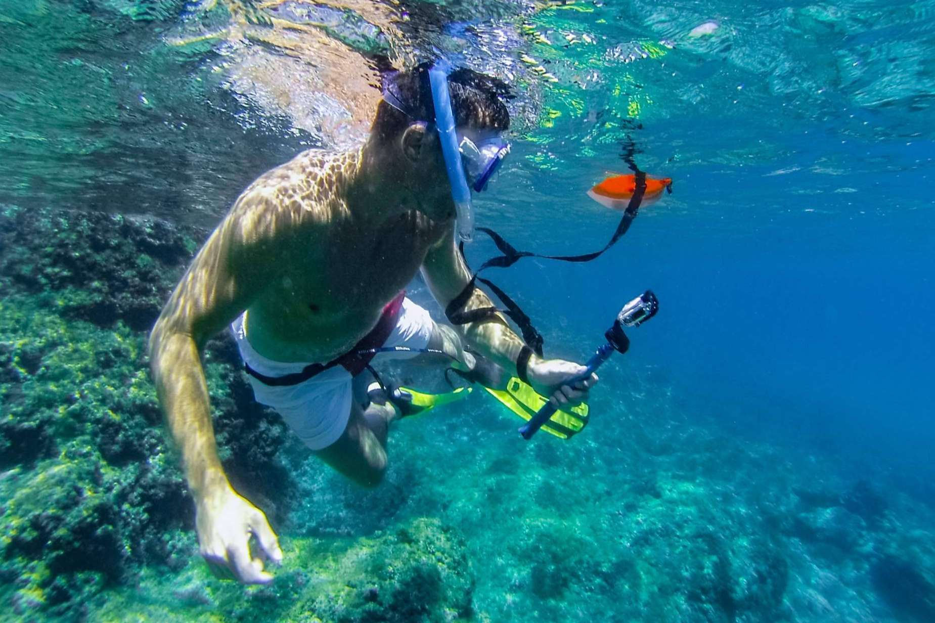 Planetazur, la agencia que fomenta el turismo sostenible en la Provenza Francesa