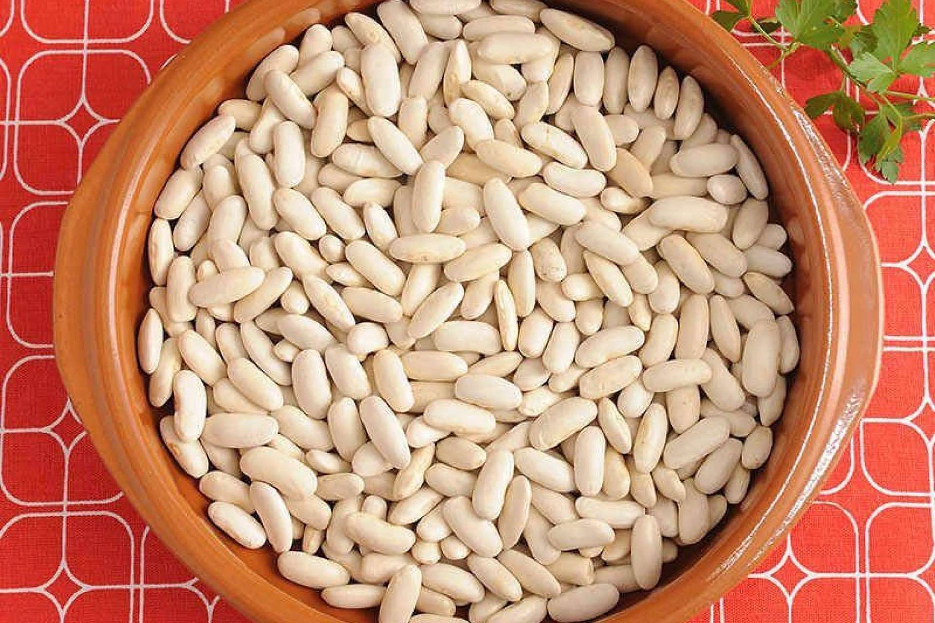 Fabada asturiana y cocido madrileño a toda Europa desde la tienda online Gastronomic Spain