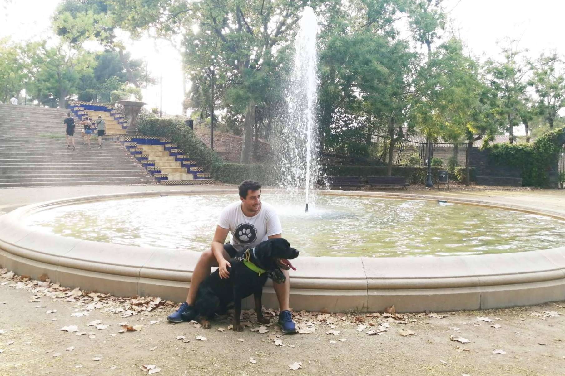 El Perro Feliz Barcelona Centro, la solución de confianza para el hospedaje y paseos del mejor amigo de las personas