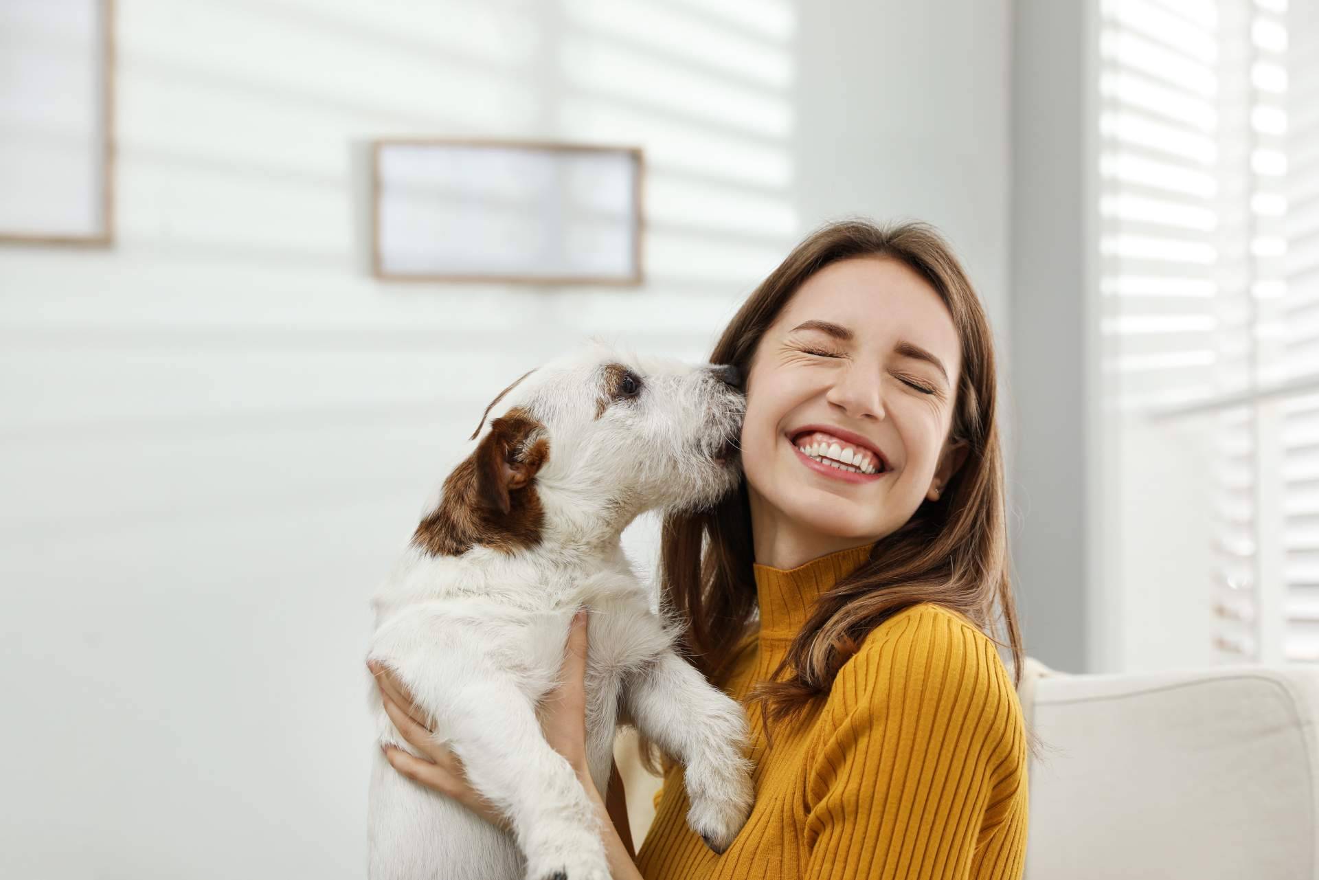 La educación canina es importante independientemente del tamaño o la raza, según DogCareBcn