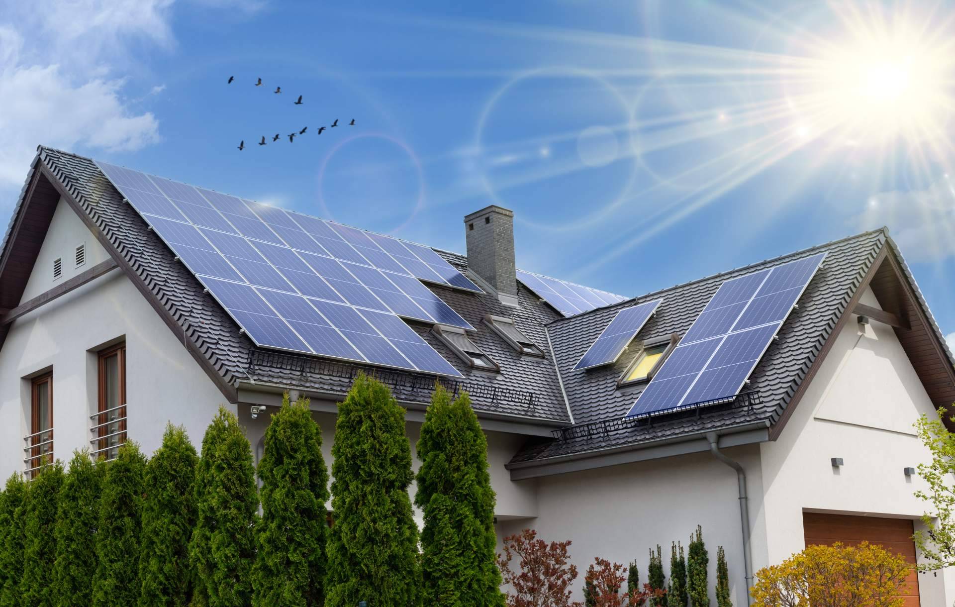 ¿Qué tipos de paneles solares existen y cuál elegir? la ayuda de Solomnia