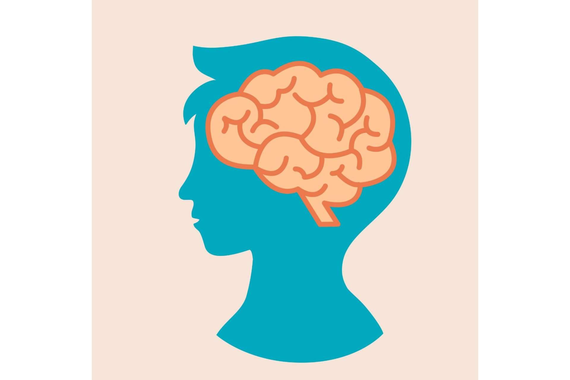'Neuro-Educación Realista', el libro de ICCE que habla sobre los límites de la neurociencia en la educación