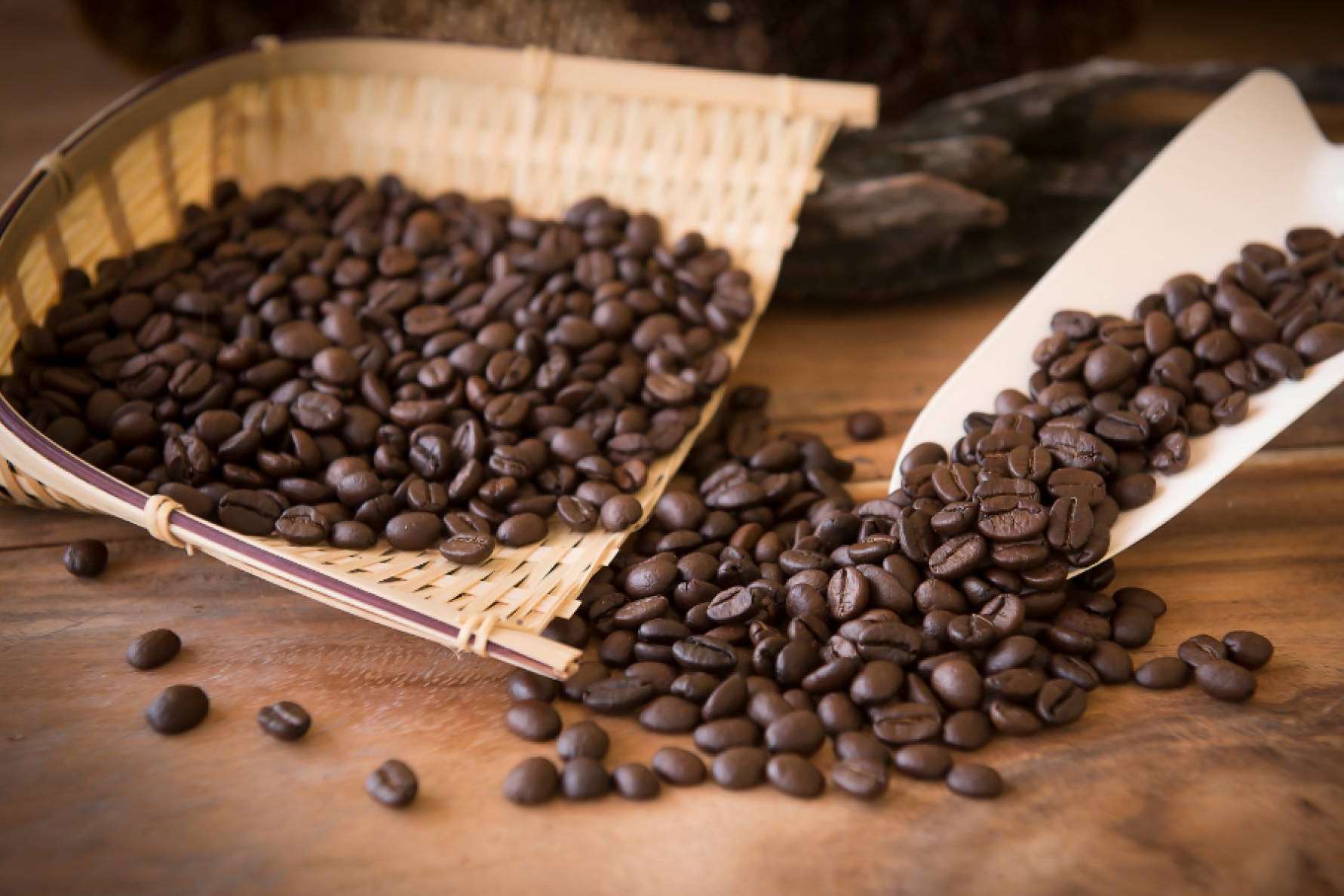 Bocca della Veritá pone a disposición café de todo tipo al por mayor