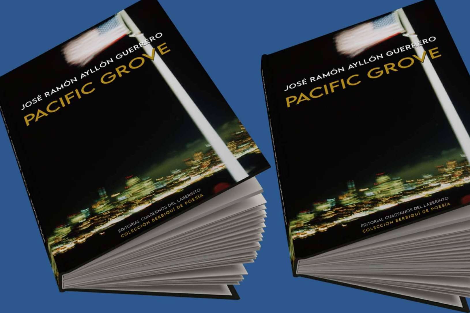 'Pacific Grove', de José Ramón Ayllón Guerrero, poesía para los que aman
