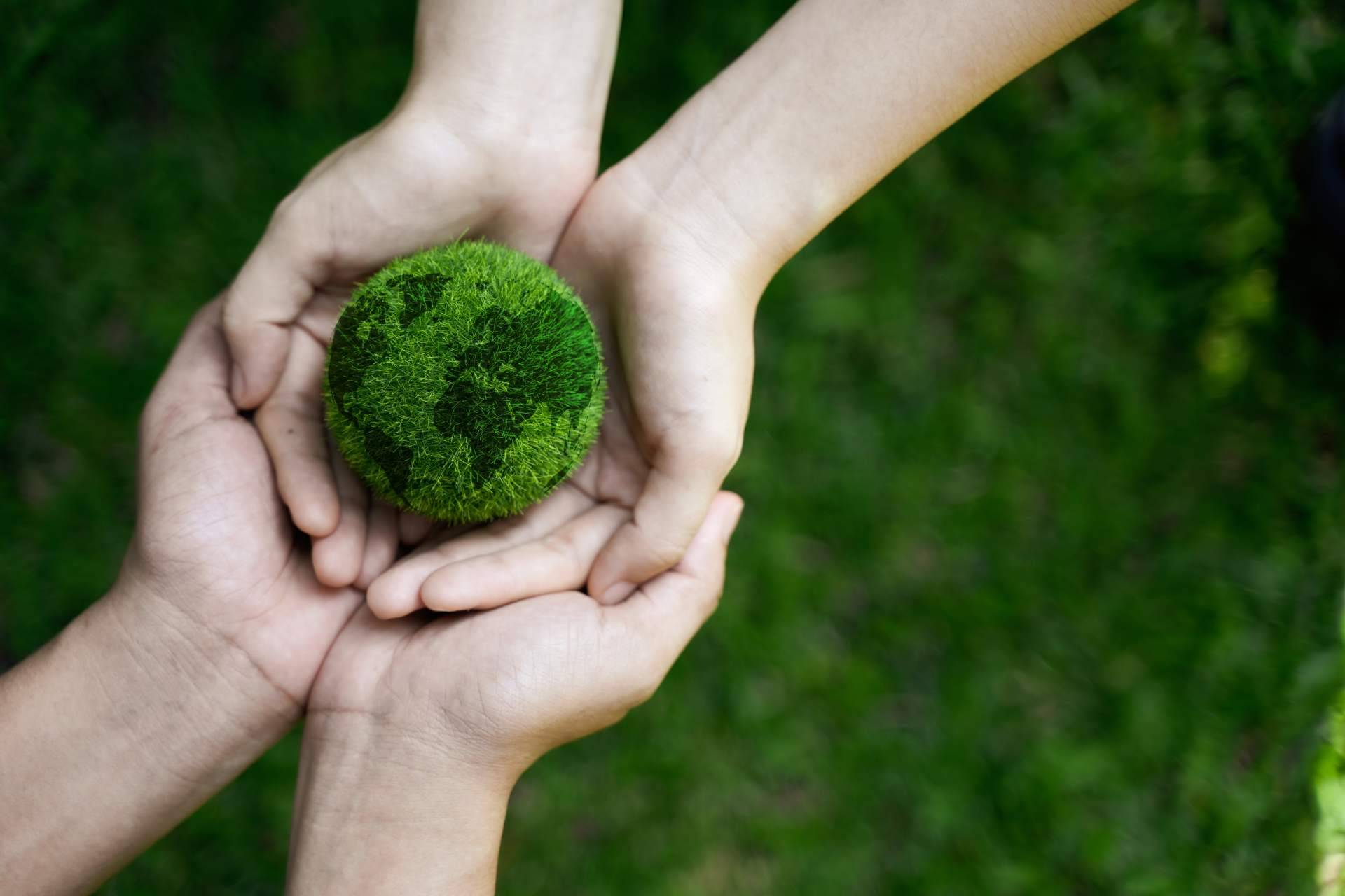 La plataforma especialista en noticias sobre sustentabilidad, Noticias Ambientales