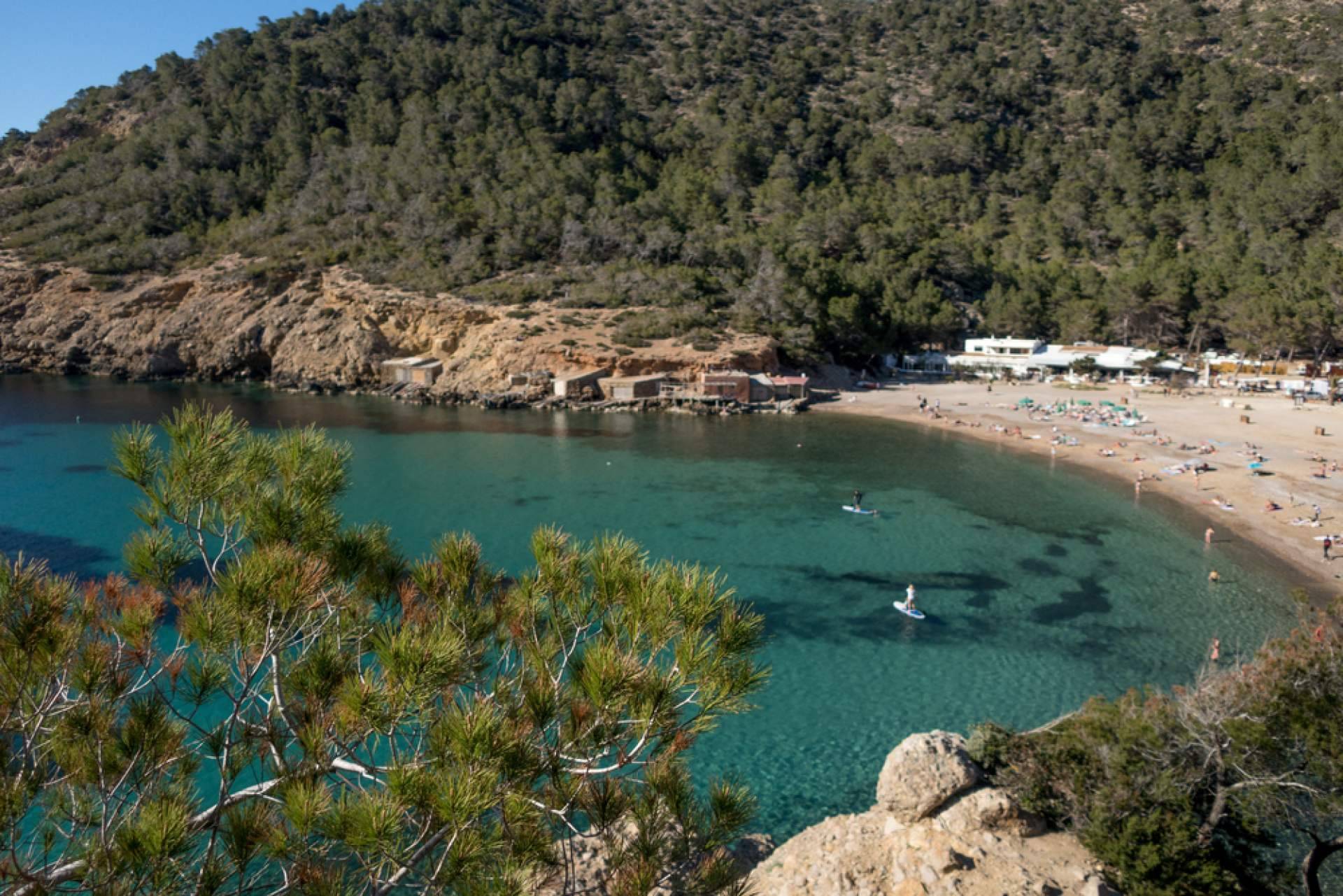 Formas de moverse por Ibiza durante la estancia en la isla, con Alpha VIP Transfer