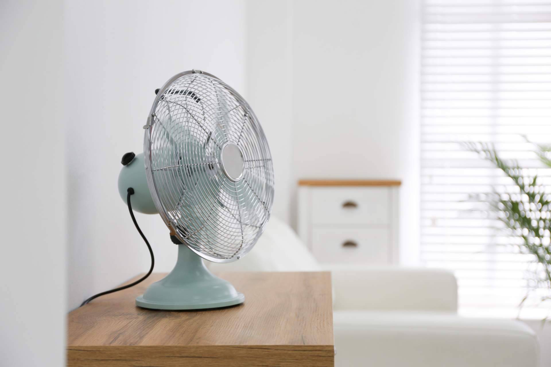 Combatir el calor del verano a través de los ventiladores que ofrece Tomás Beltrán