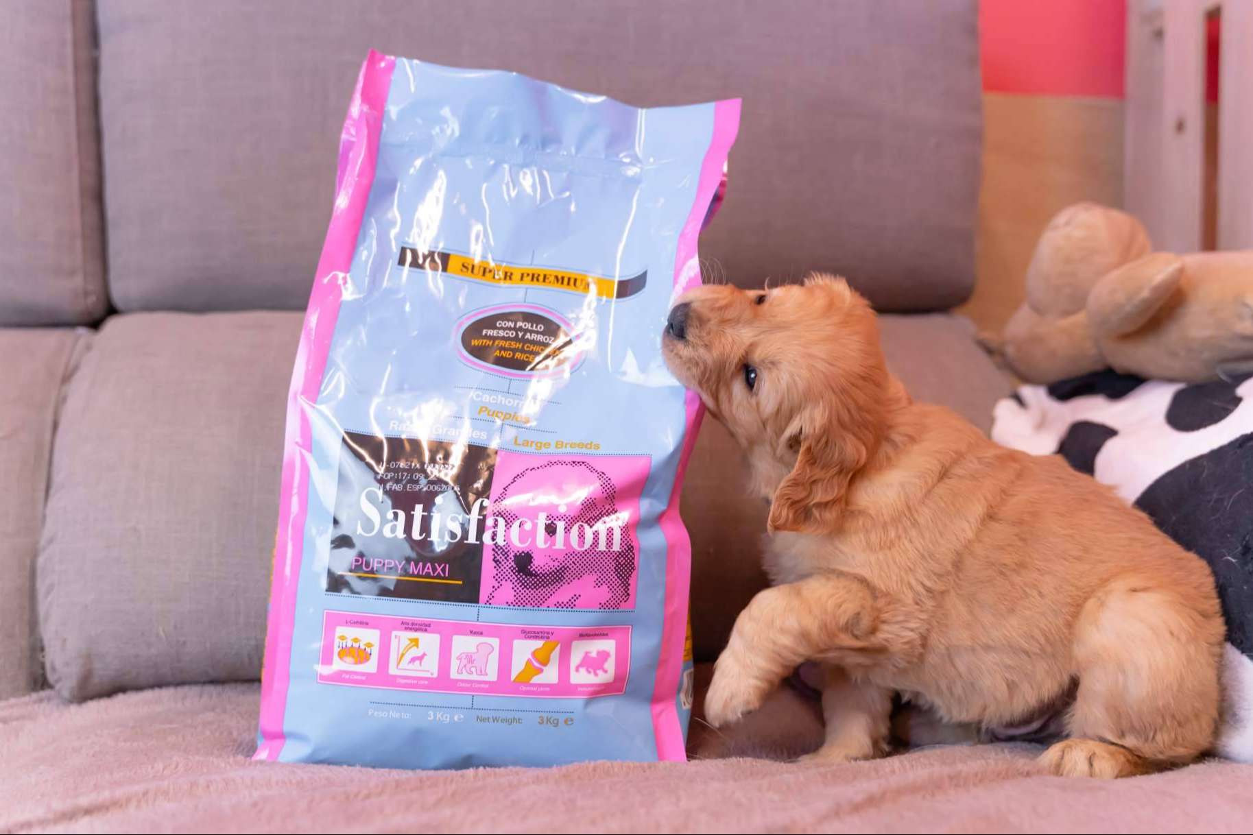 Los beneficios de la gama de pienso Satisfaction Super Premium
