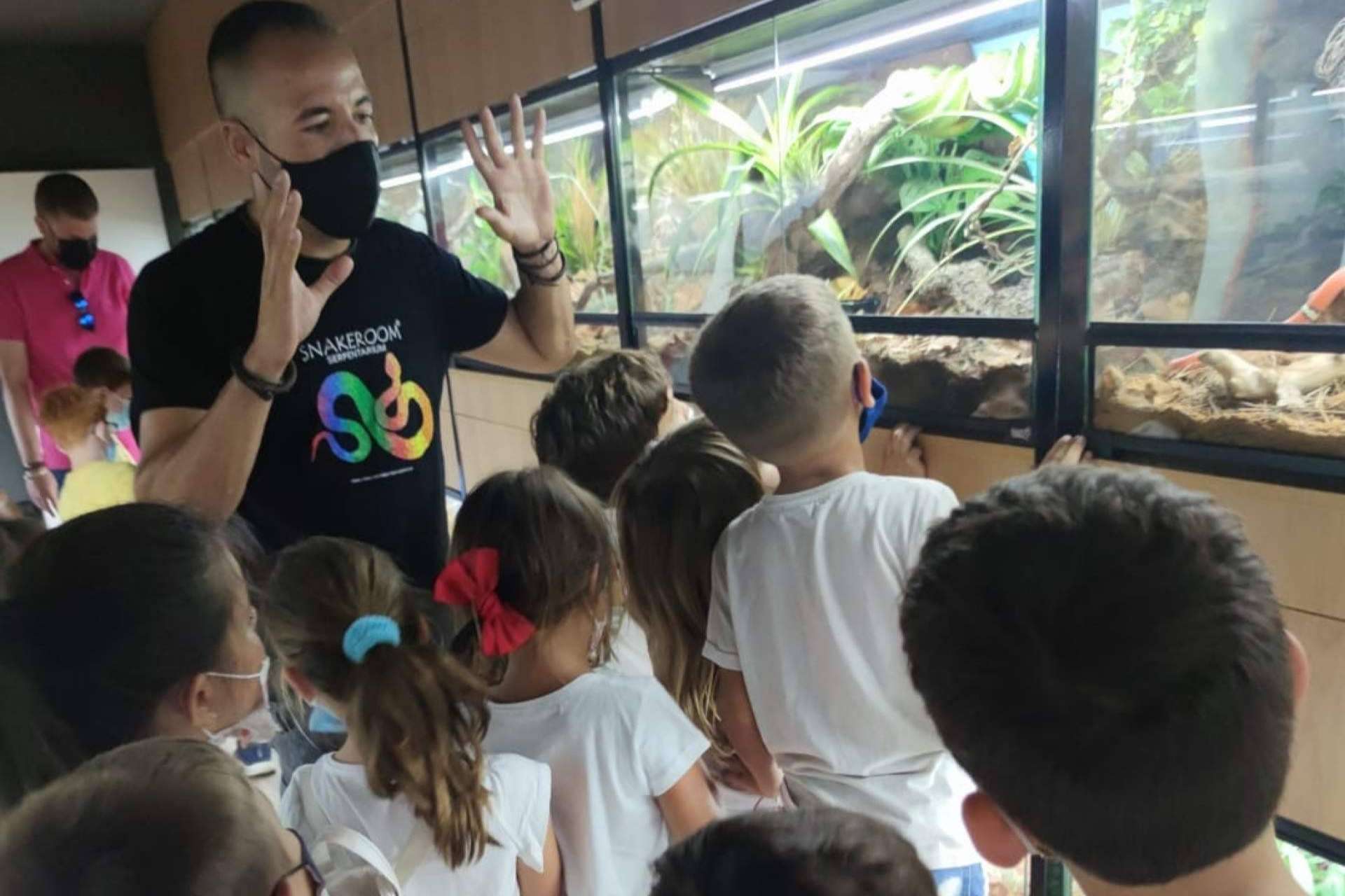 SnakeRoom, el centro de cría autorizado donde encontrar serpientes como mascota