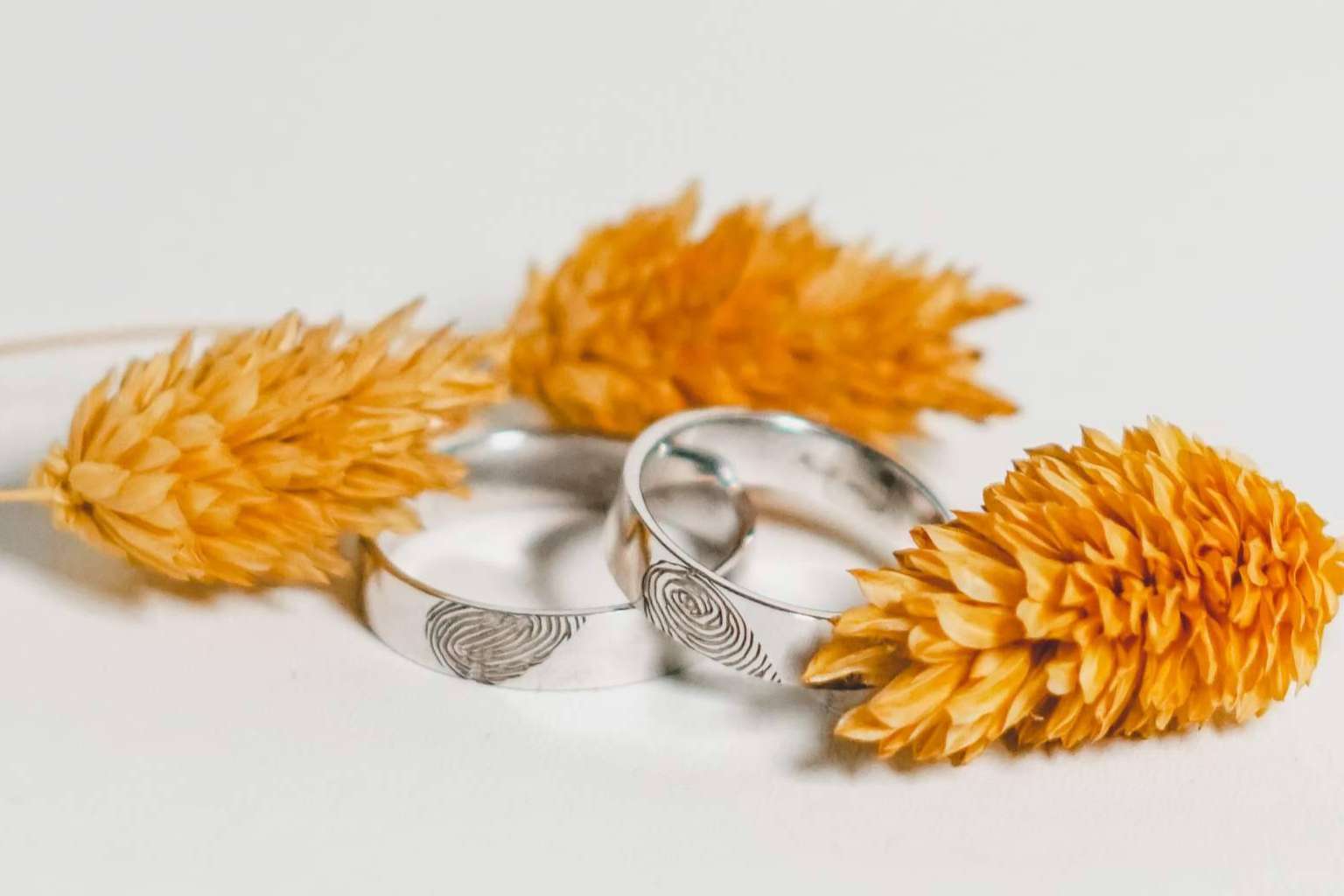 Encontrar en Oro Alianzas la alianza de boda perfecta