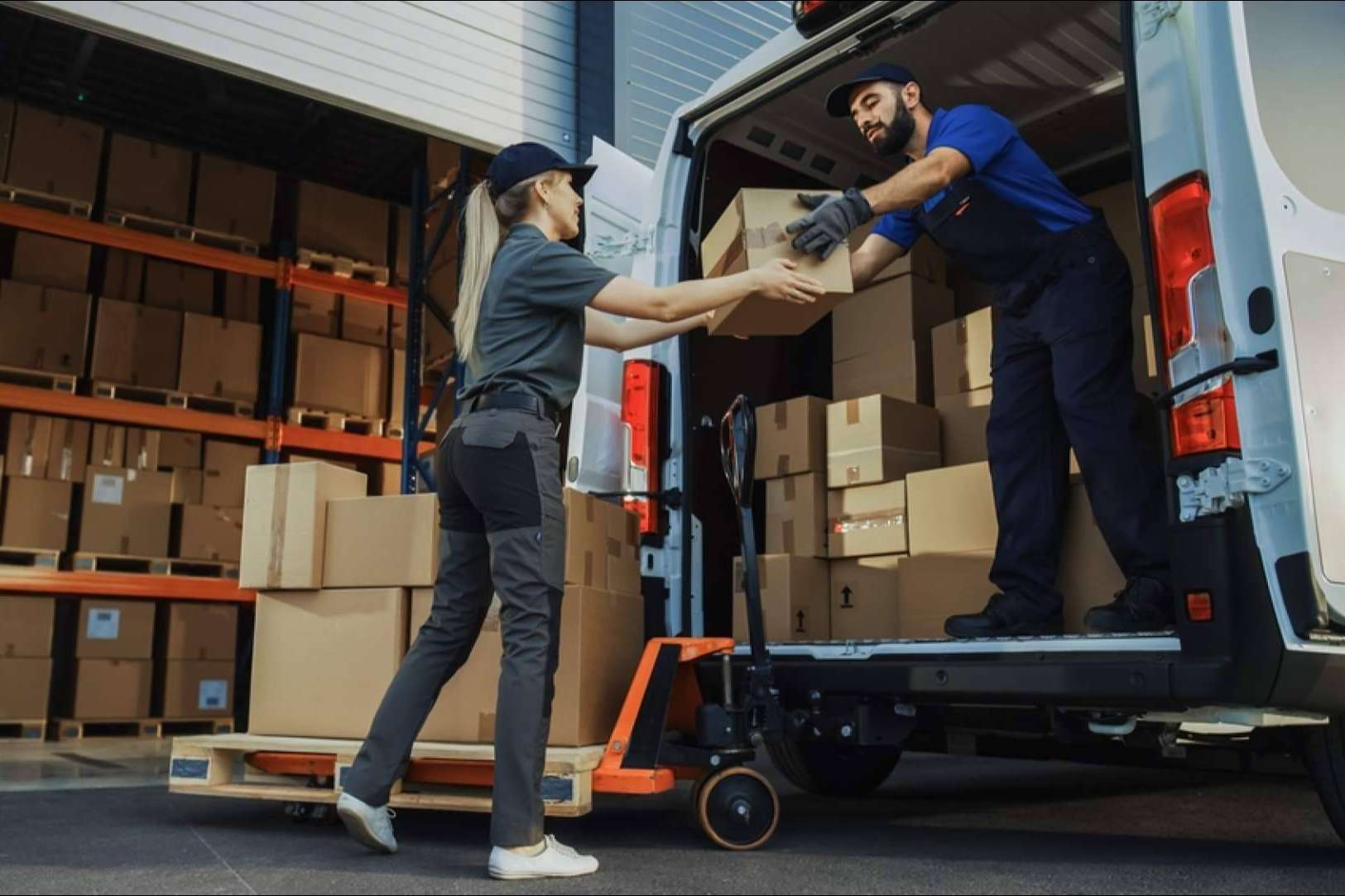 Los servicios de la empresa Terra Logistika