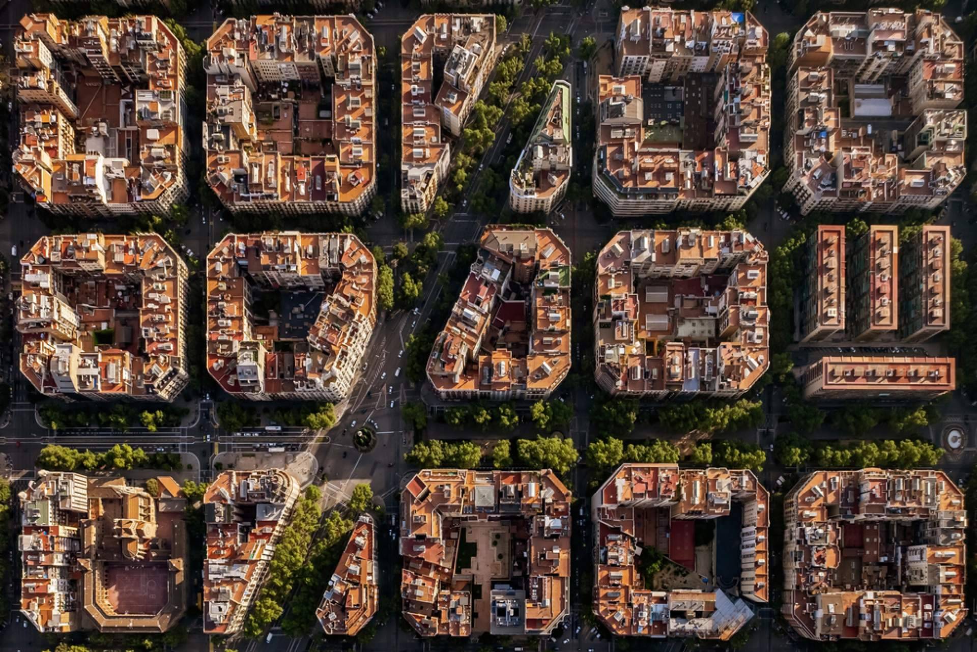 Las propuestas de Barcelonina y la importancia de las visitas a medida