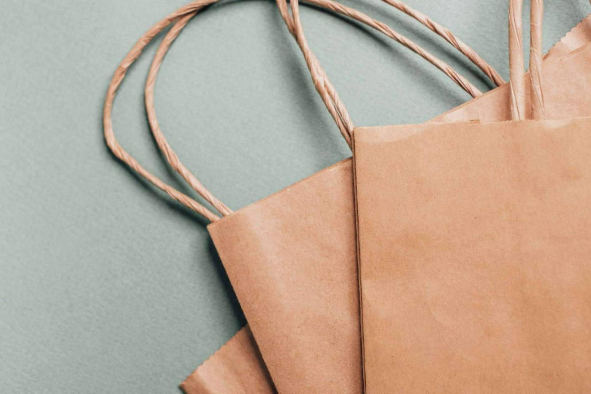 Ecobolsa, la fábrica de bolsas de papel que ofrece a los negocios una alternativa publicitaria y ecoamigable