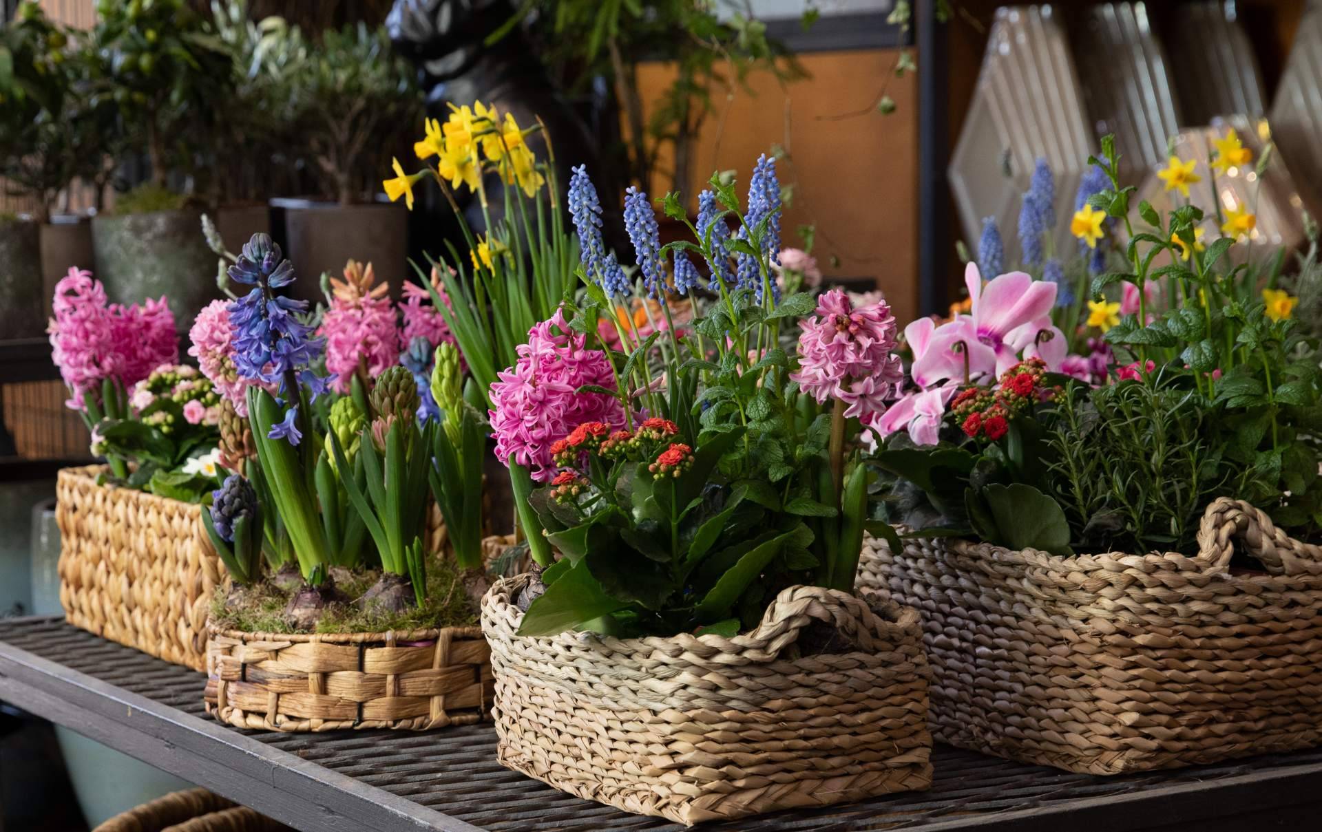 Las propuestas de decoración exterior para verano de Hogar y Más