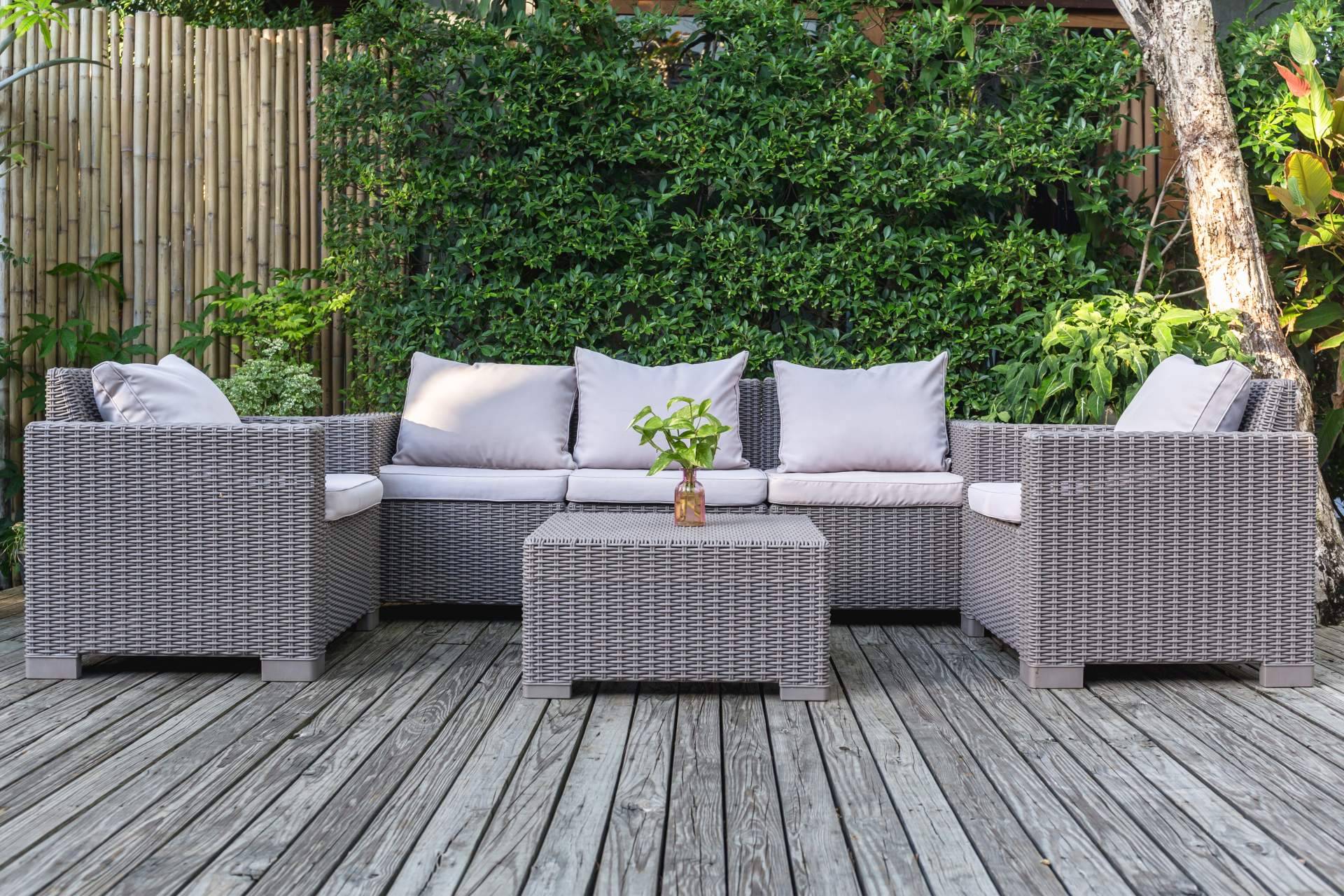 Las ventajas de las plantas de pared colgantes de JardinVertical.es