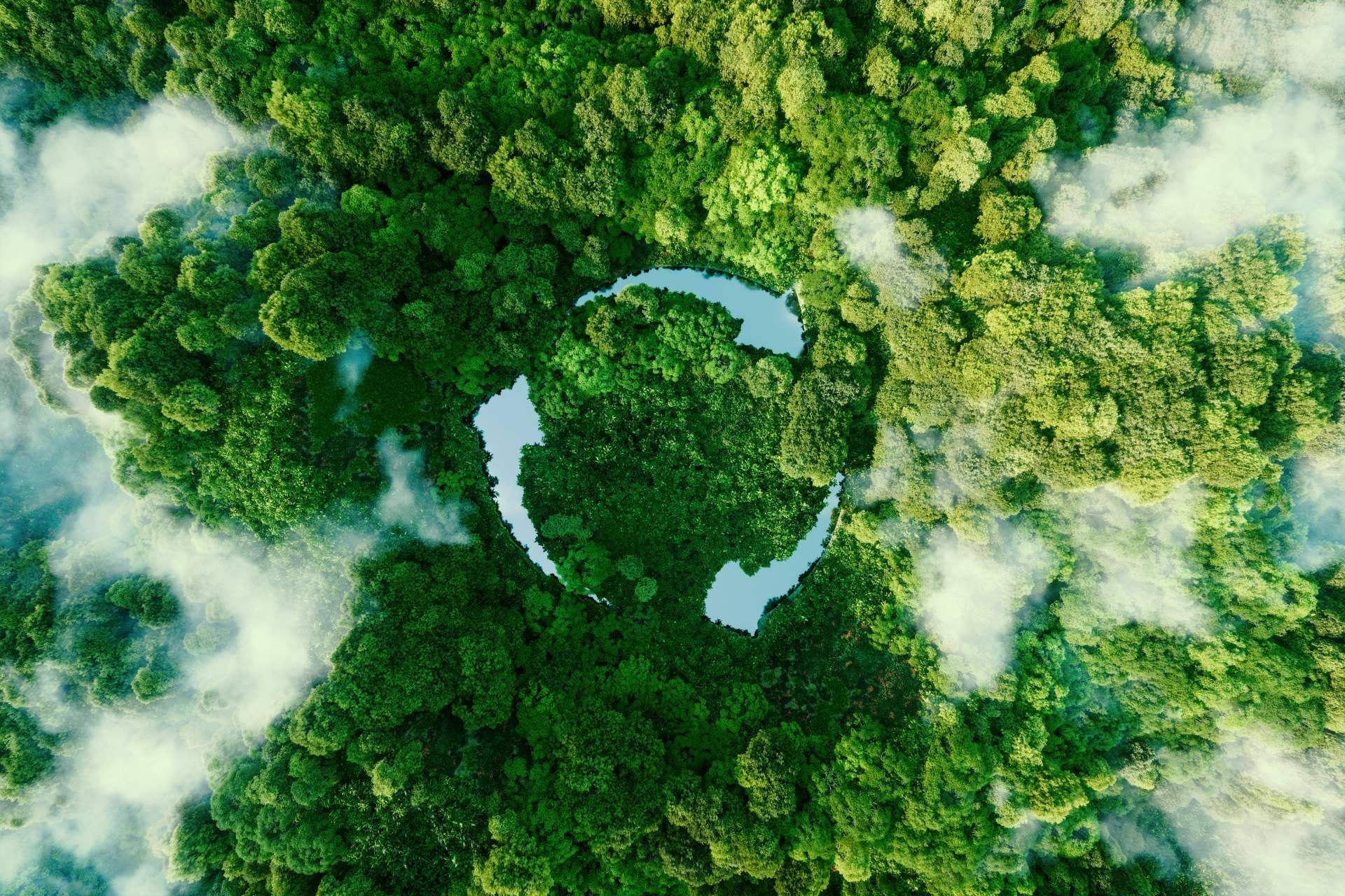 Reducir la contaminación medioambiental; el pago por uso emerge como una excelente alternativa