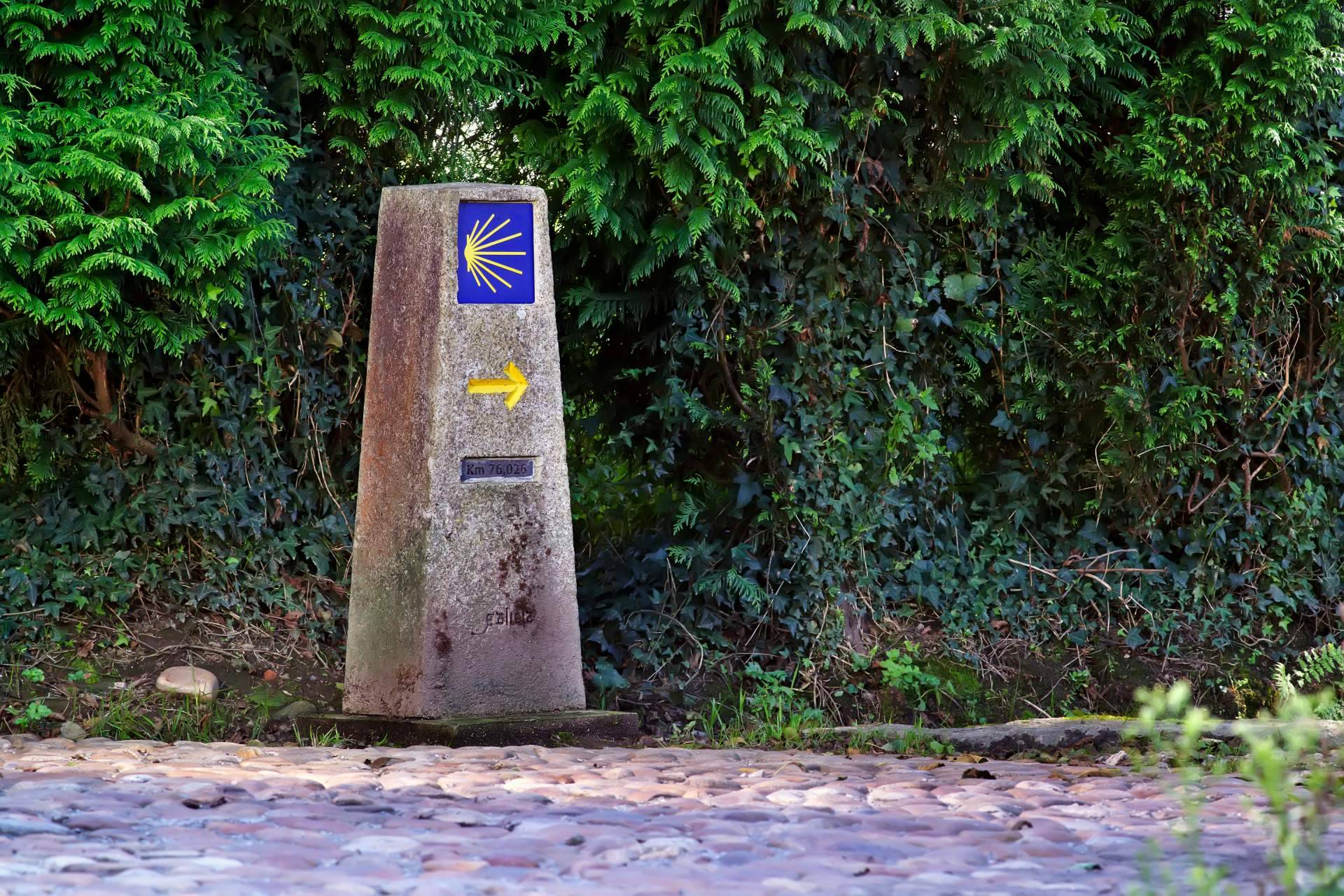 Reivindicar los derechos de las personas con discapacidad en España haciendo el Camino de Santiago en silla de ruedas, con Fundación Disgrup
