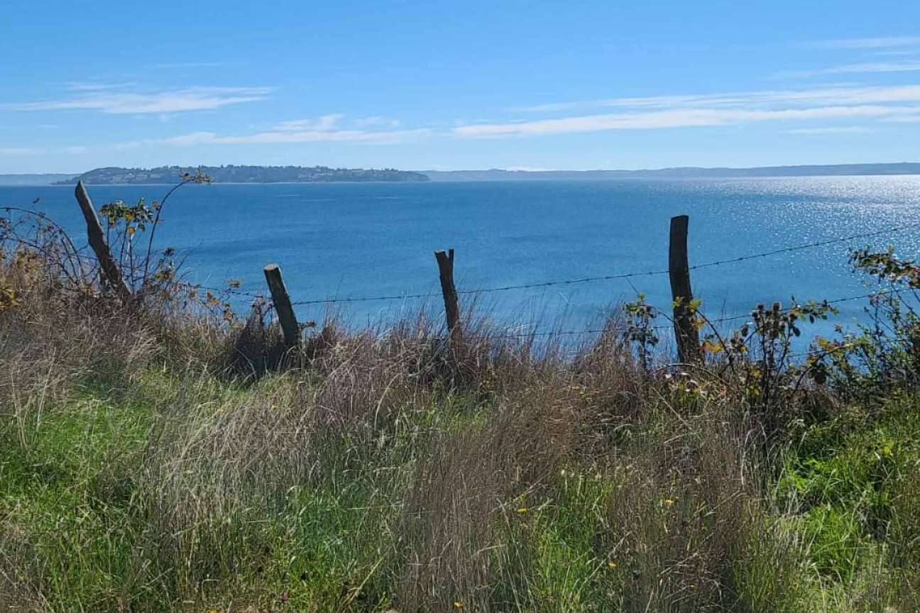 Teletrabajar en medio de la naturaleza, una realidad que se puede vivir en Chiloé