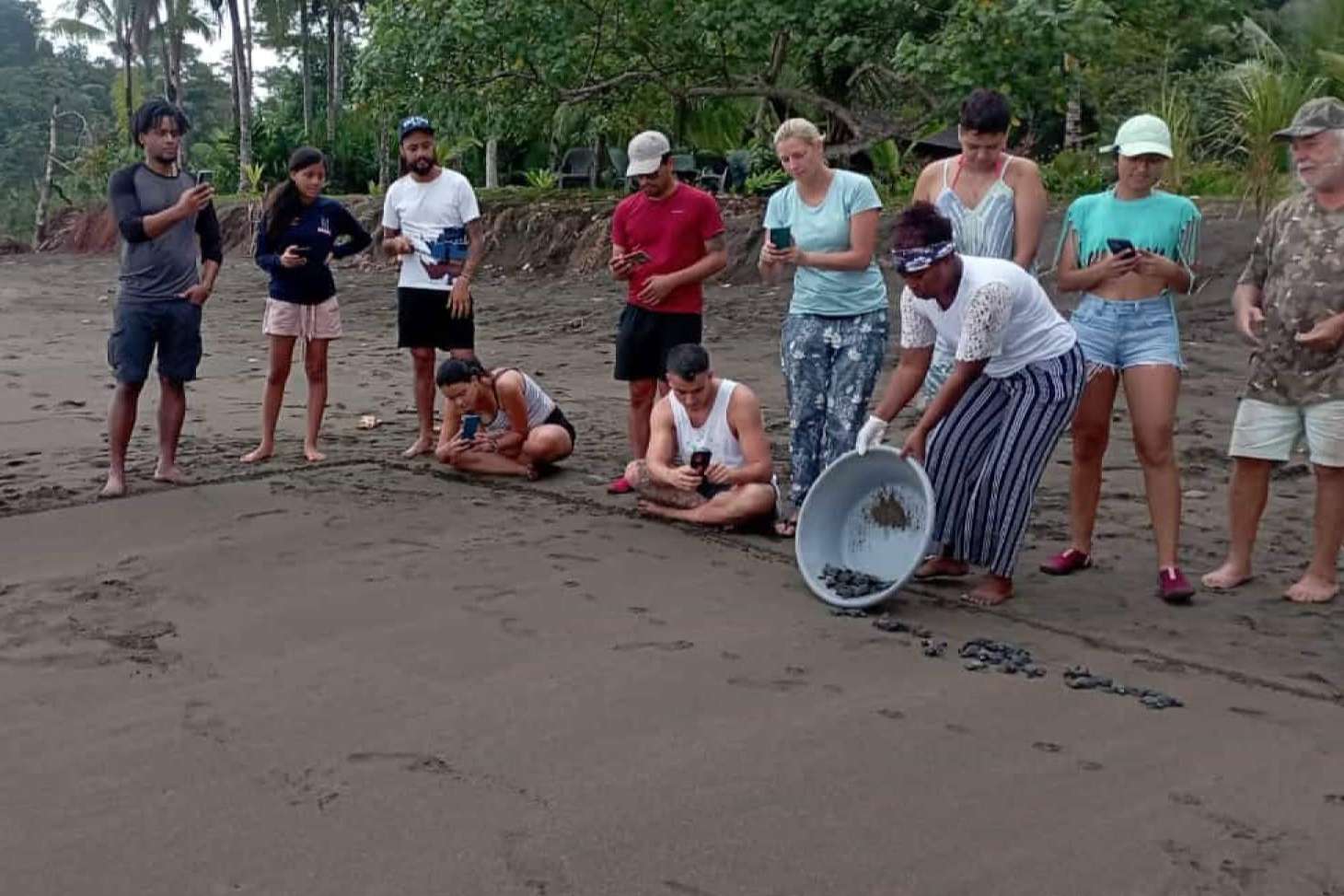 ONGVoluntariado, una manera de vivir voluntariados ambientales internacionales