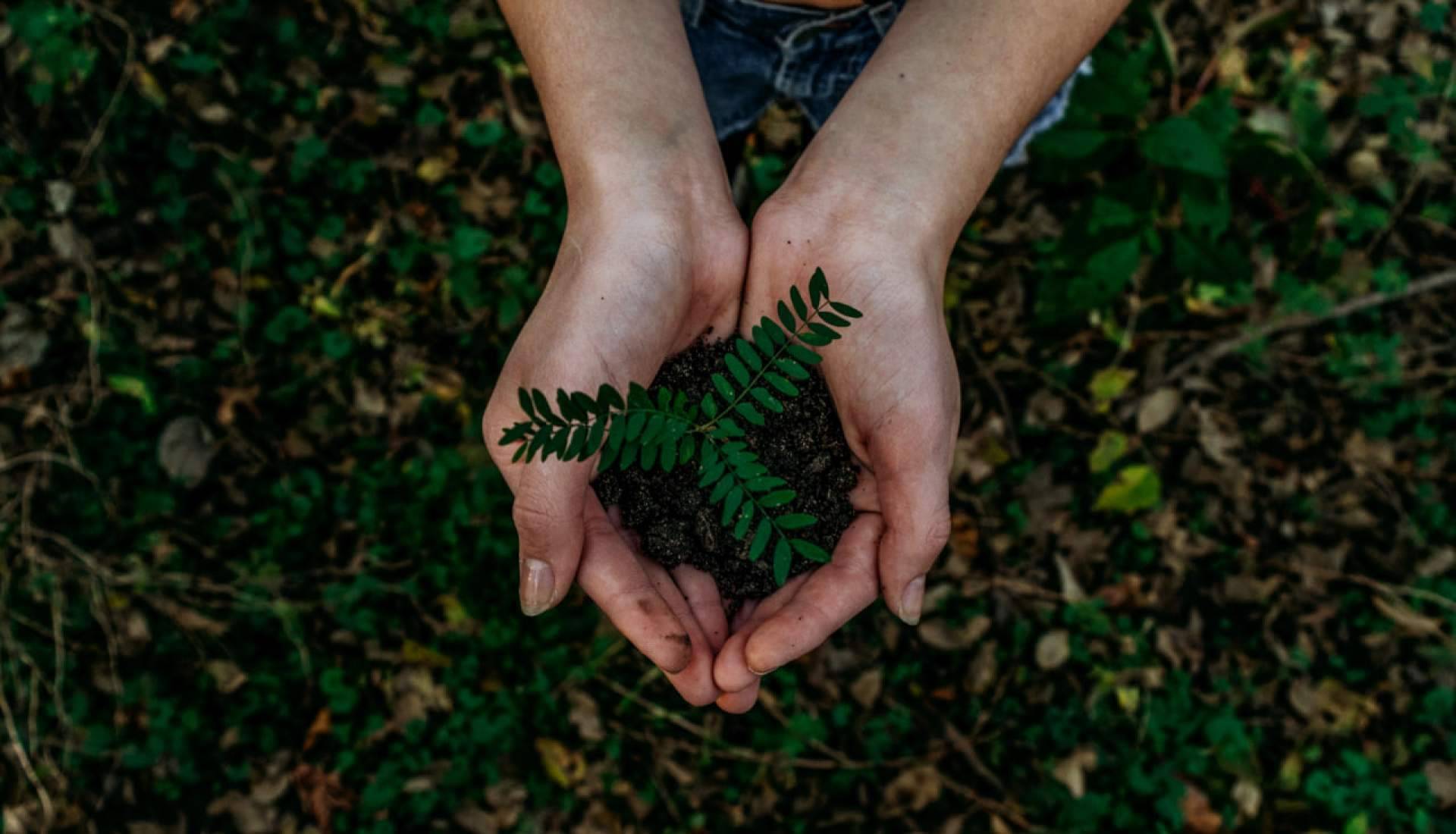 ¿Por qué es importante la economía circular?, la tecnología de Calpech que transforma residuos en nanopartículas de hierro