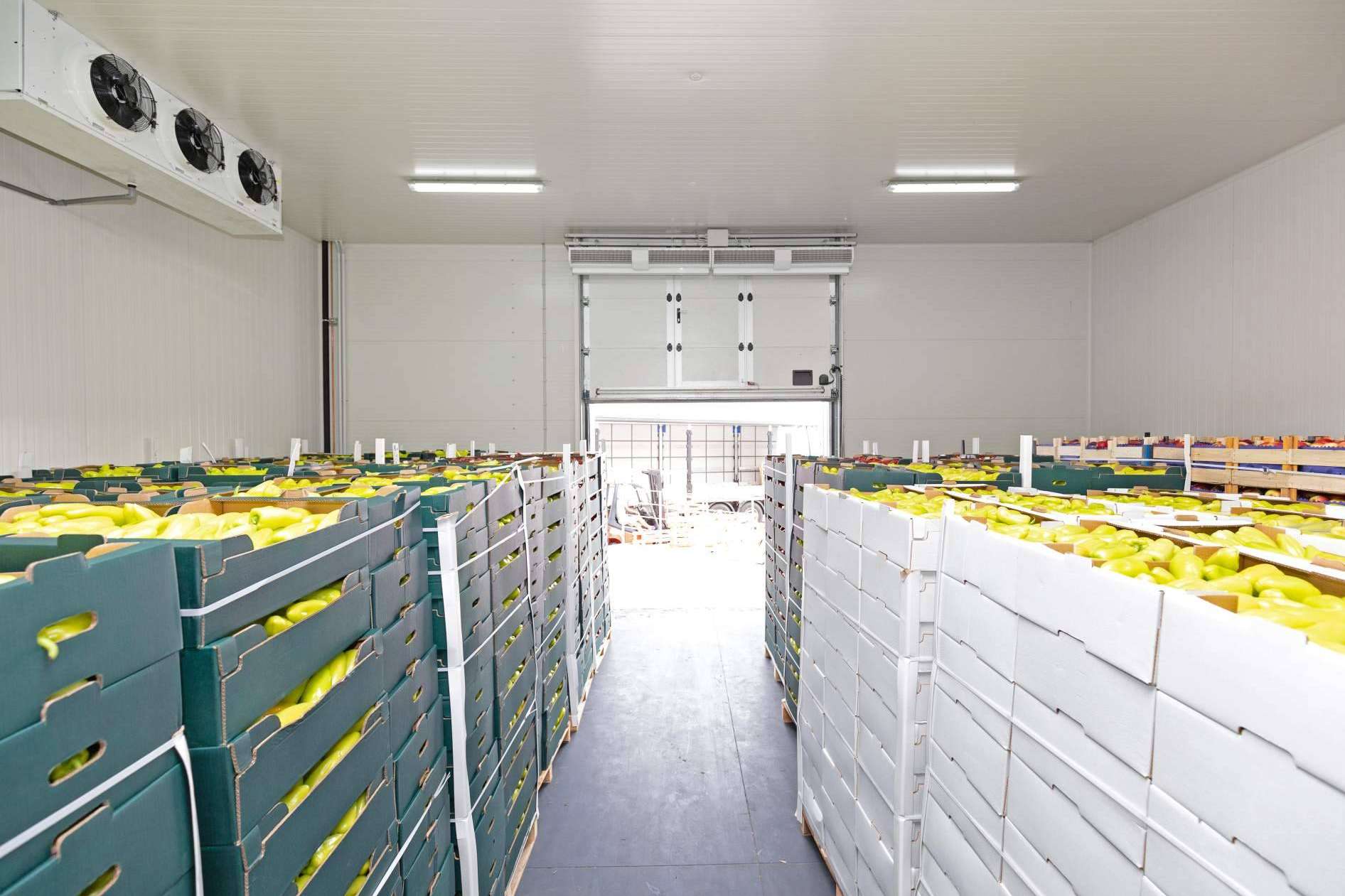 ALBA IBS y su software ERP para la industria alimentaria