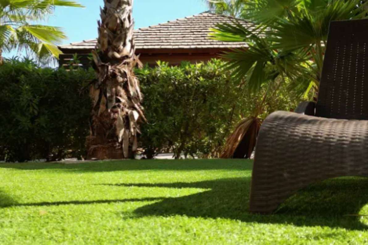 Albergrass, decoración de jardines exteriores