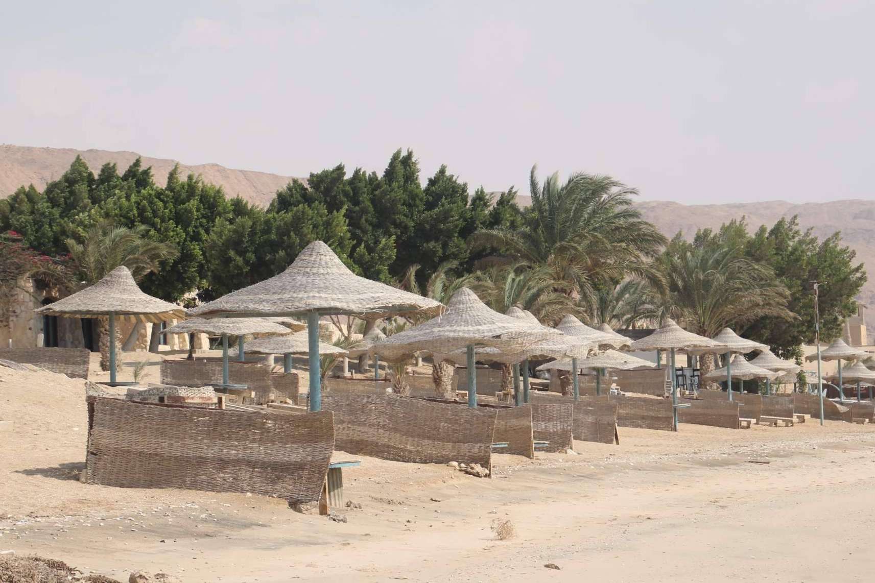 El tour por Egipto y Tierra Santa de EUROLATINO