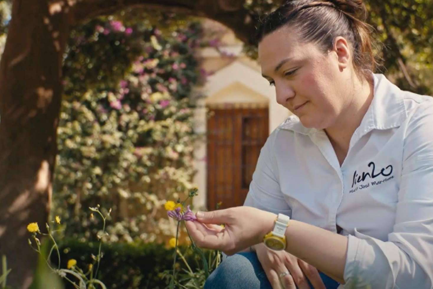 Objetivo salvar a las abejas, Proyecto Lienzo