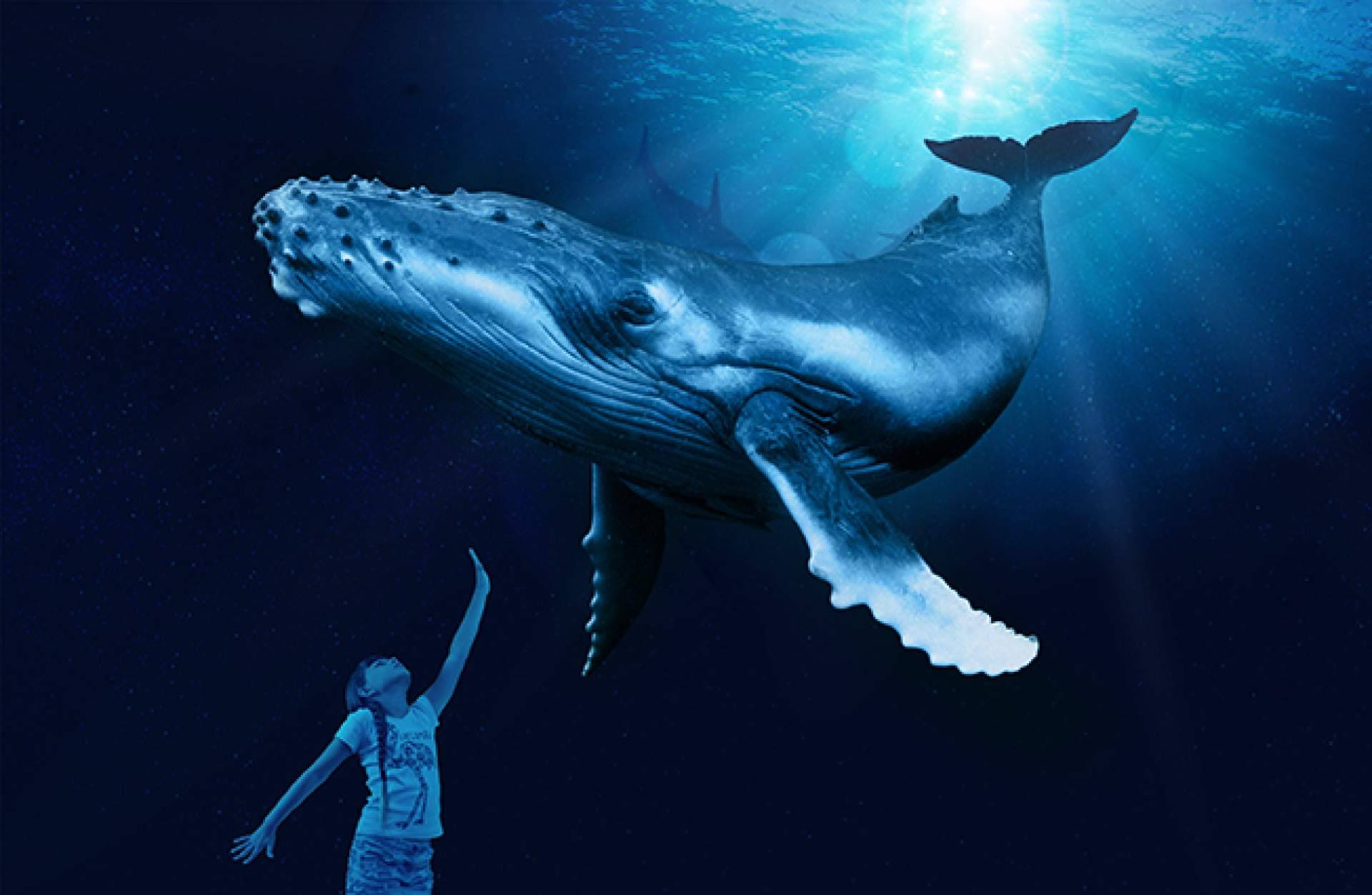 Disfrutar la experiencia Palma Aquarium, para pasar un día diferente en Mallorca
