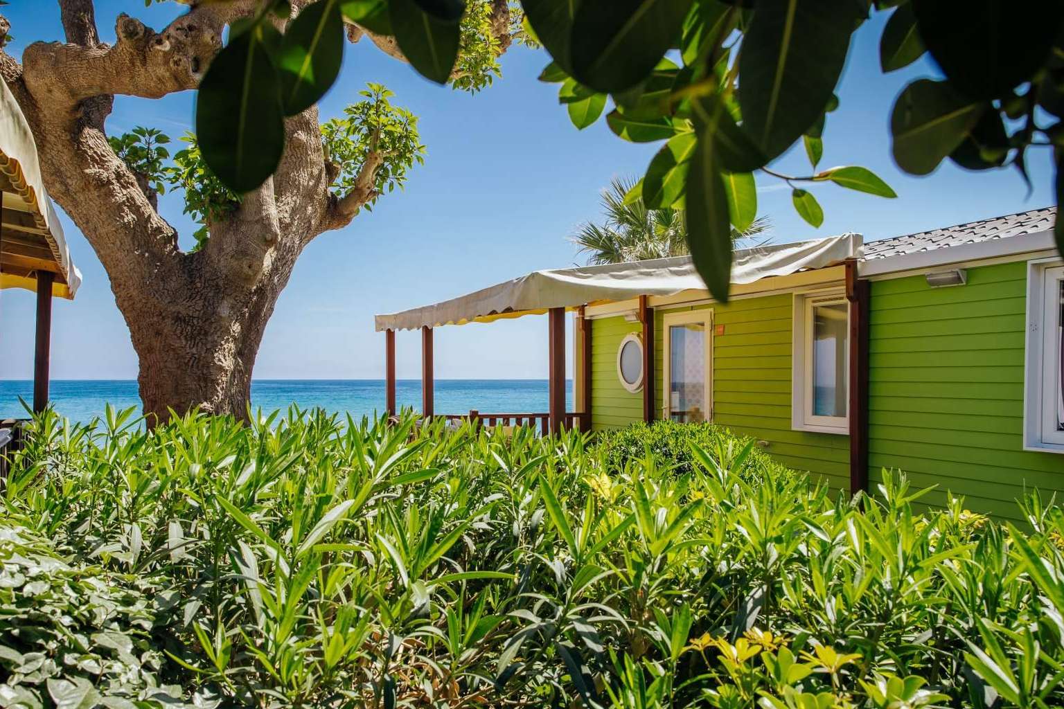 Sí a las vacaciones en septiembre en Alannia Resorts