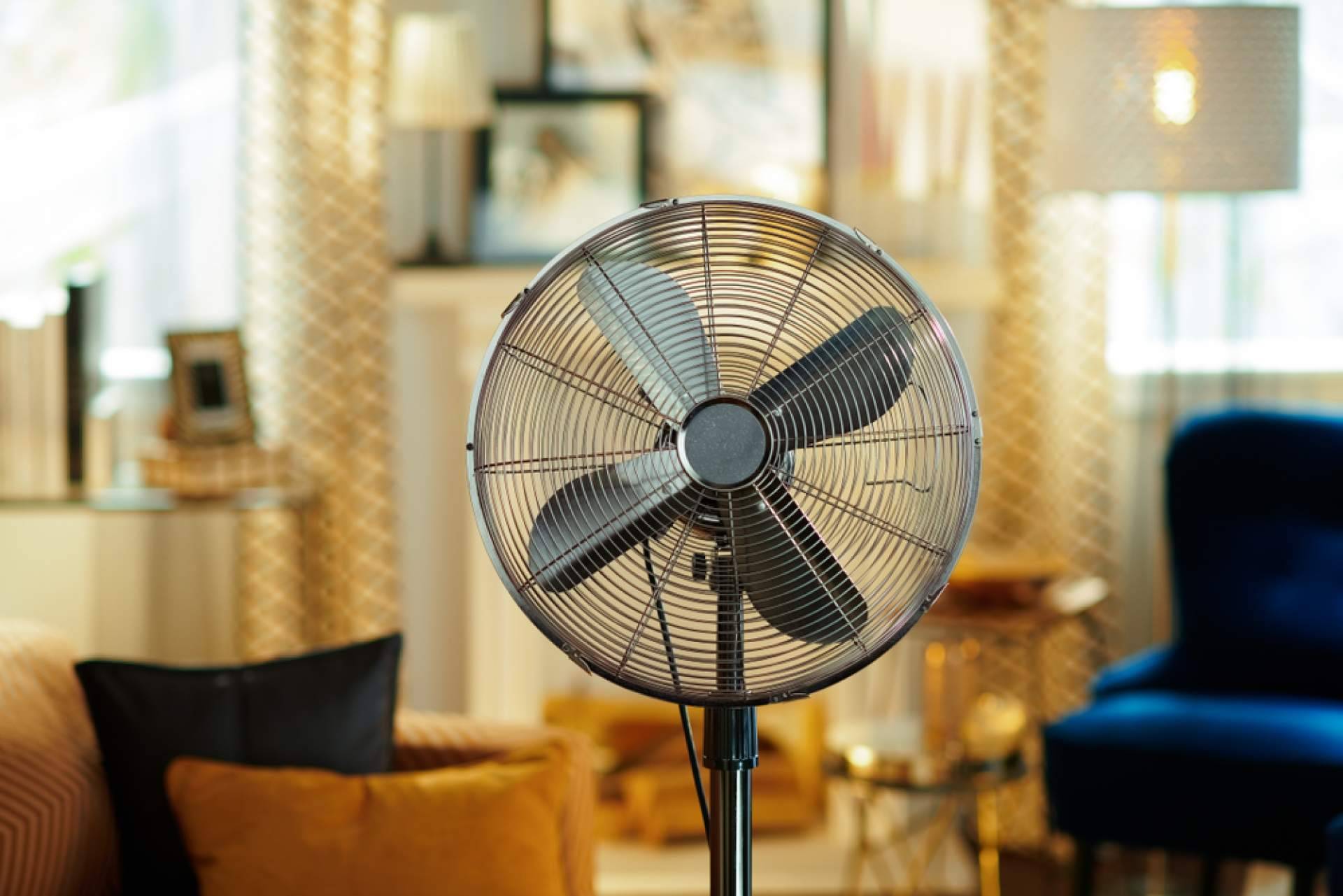 El amplio catálogo de ventiladores de techo de Latiendadeelectricidad.com