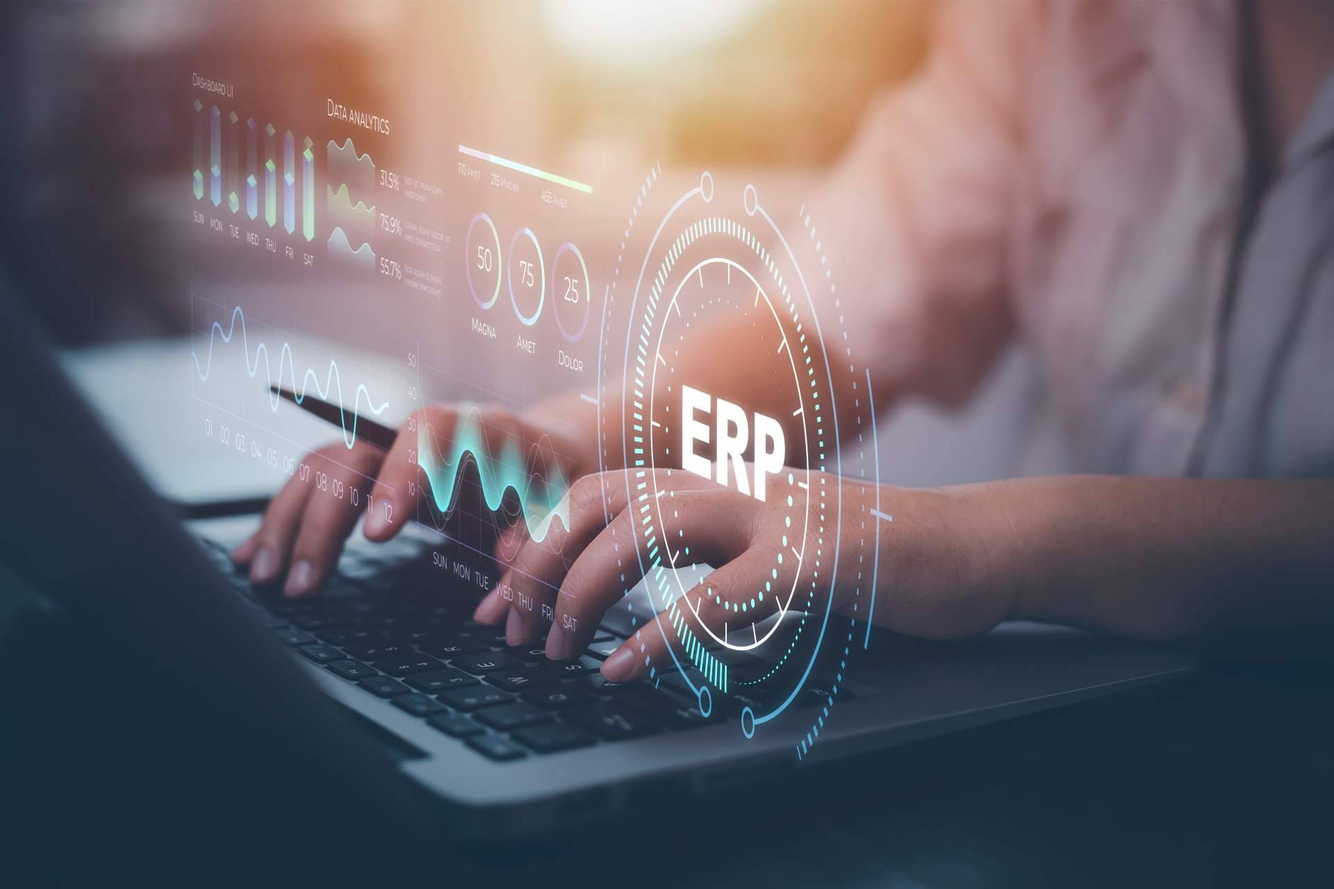 Optimización de los recursos empresariales al contar con un ERP