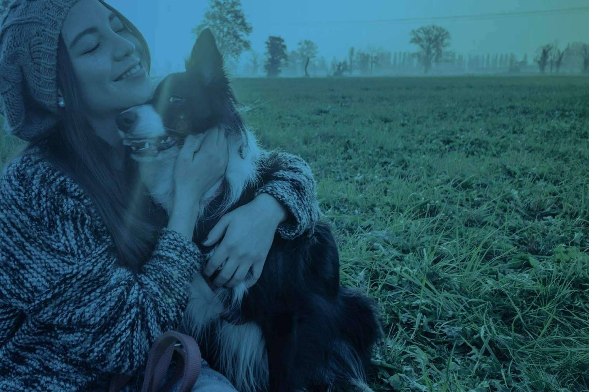Vet Formación ofrece formación en etología canina