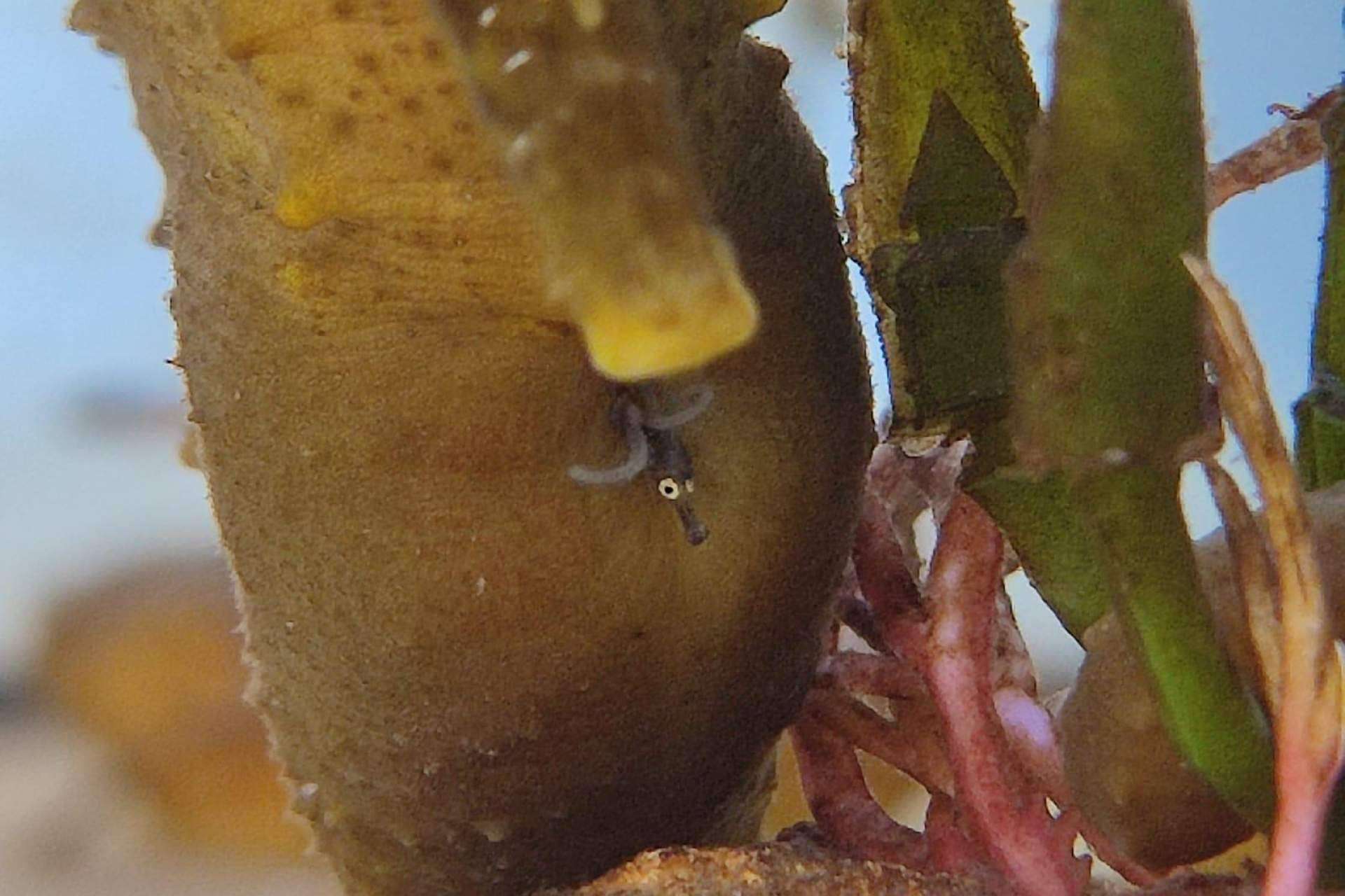 Compromiso educativo y medioambiental de Palma Aquarium en Mallorca