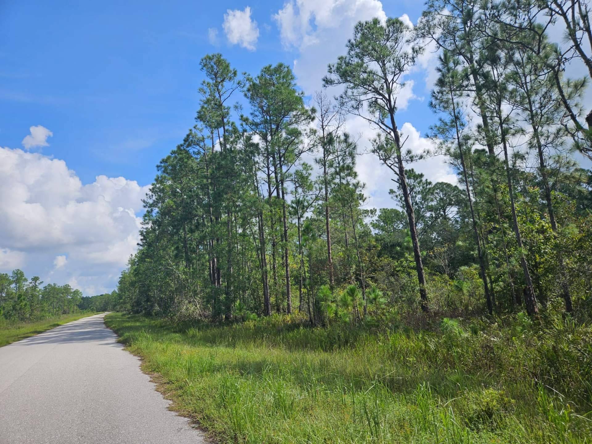 Crece el interés de invertir en Florida, por Vista Imark