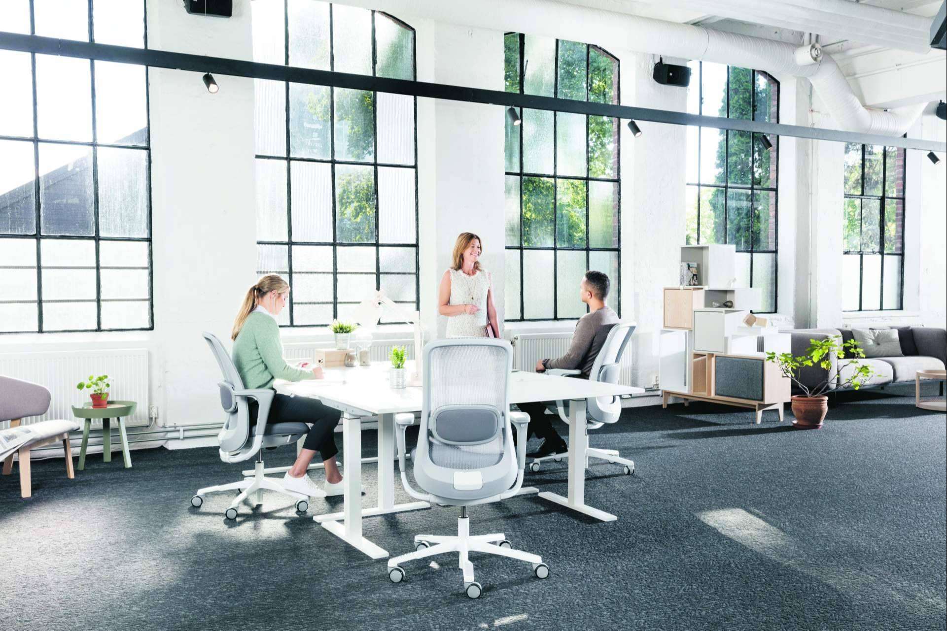 Una vuelta al trabajo con aires renovados