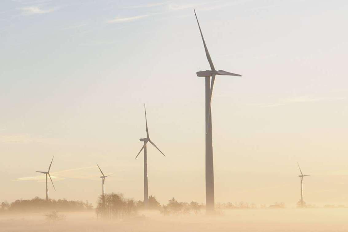 La plataforma dedicada a comunicar el impacto ambiental de las pymes, Dcycle