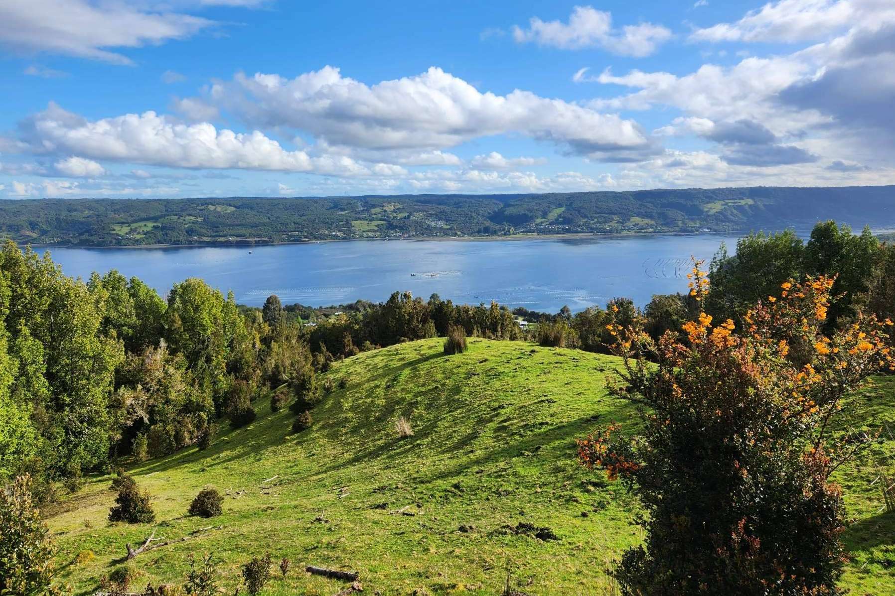Latitudes Australes pone a disposición lugares perfectos en Chiloé para invertir en una parcela
