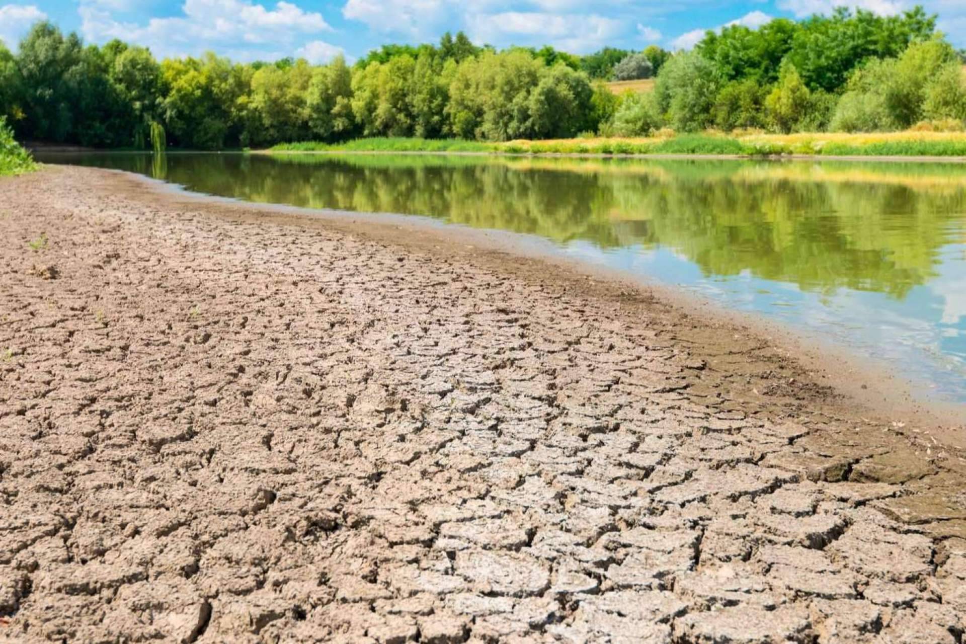 Pluvial brinda soluciones sostenibles en el ámbito de la gestión del agua