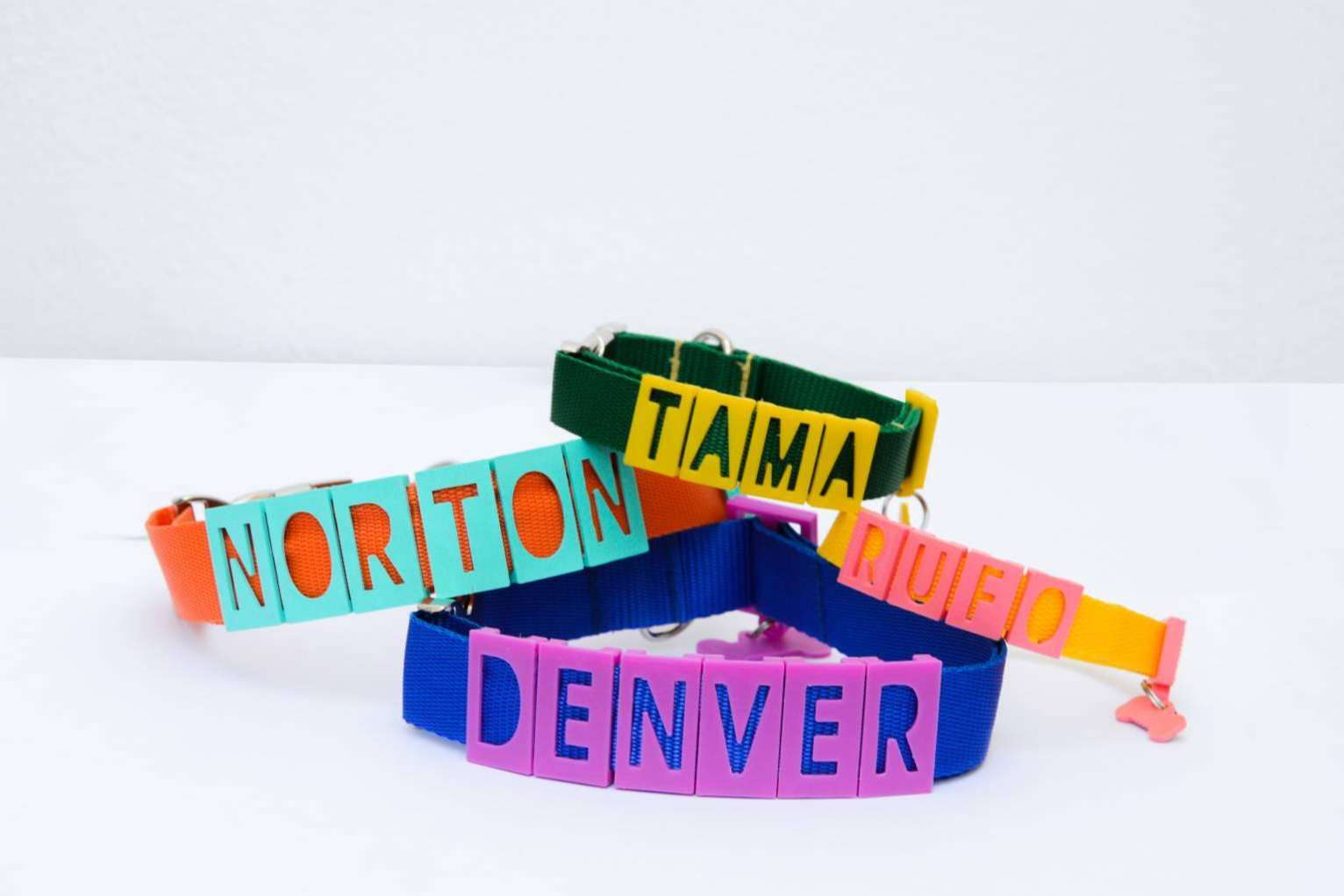 Los collares y chapas personalizadas de Seron permiten proteger a la mascota