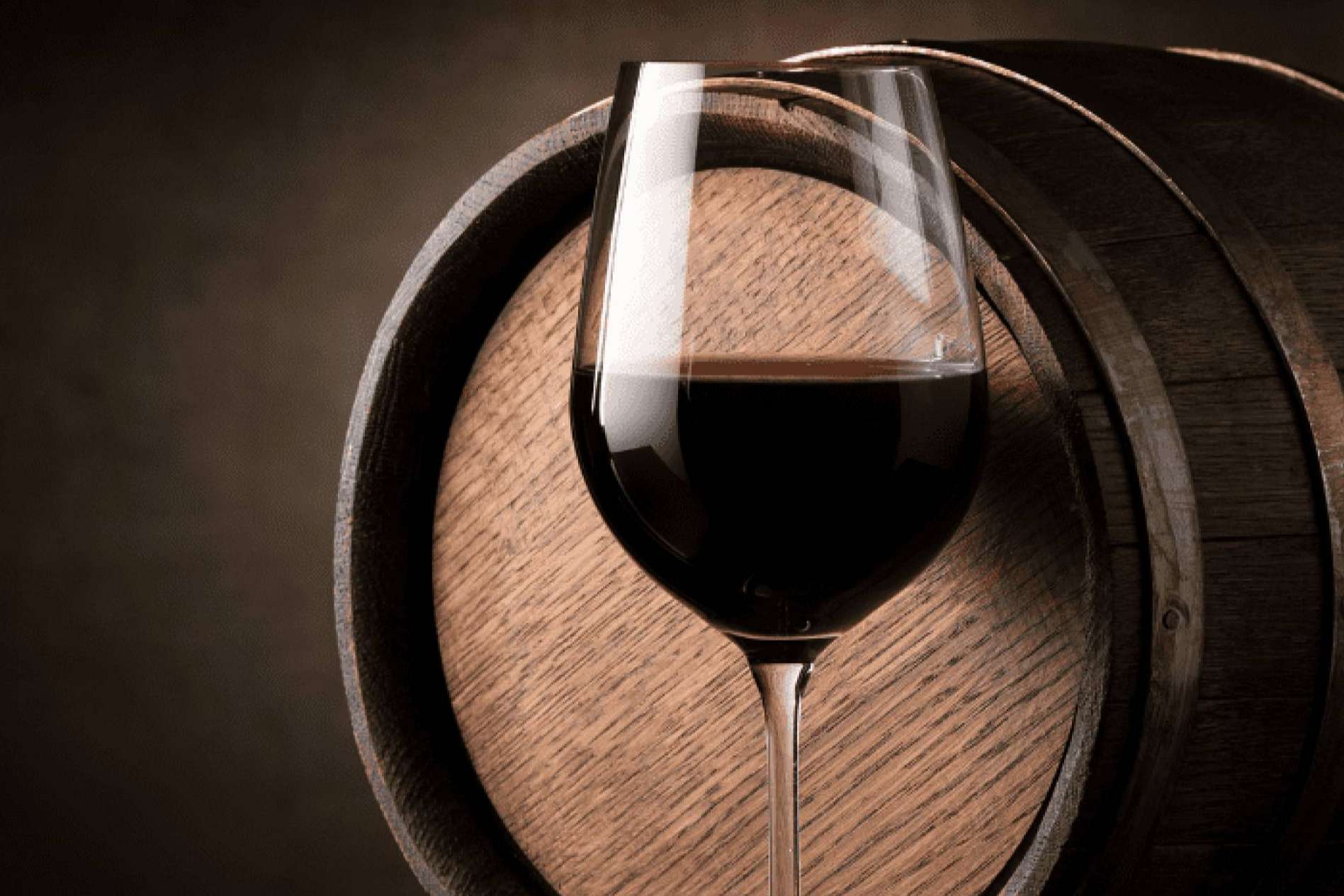 Las bodegas, el lugar en el que el vino nace