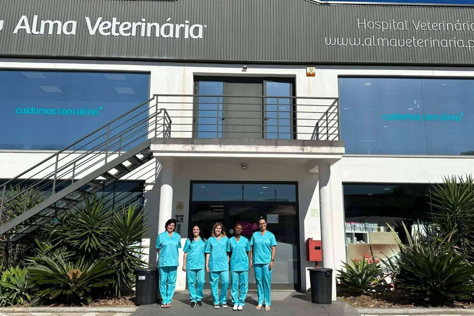 Vetformación cuenta con dos centros de formación presencial nuevos de auxiliar de veterinaria y cursos semi-presenciales en todo Portugal
