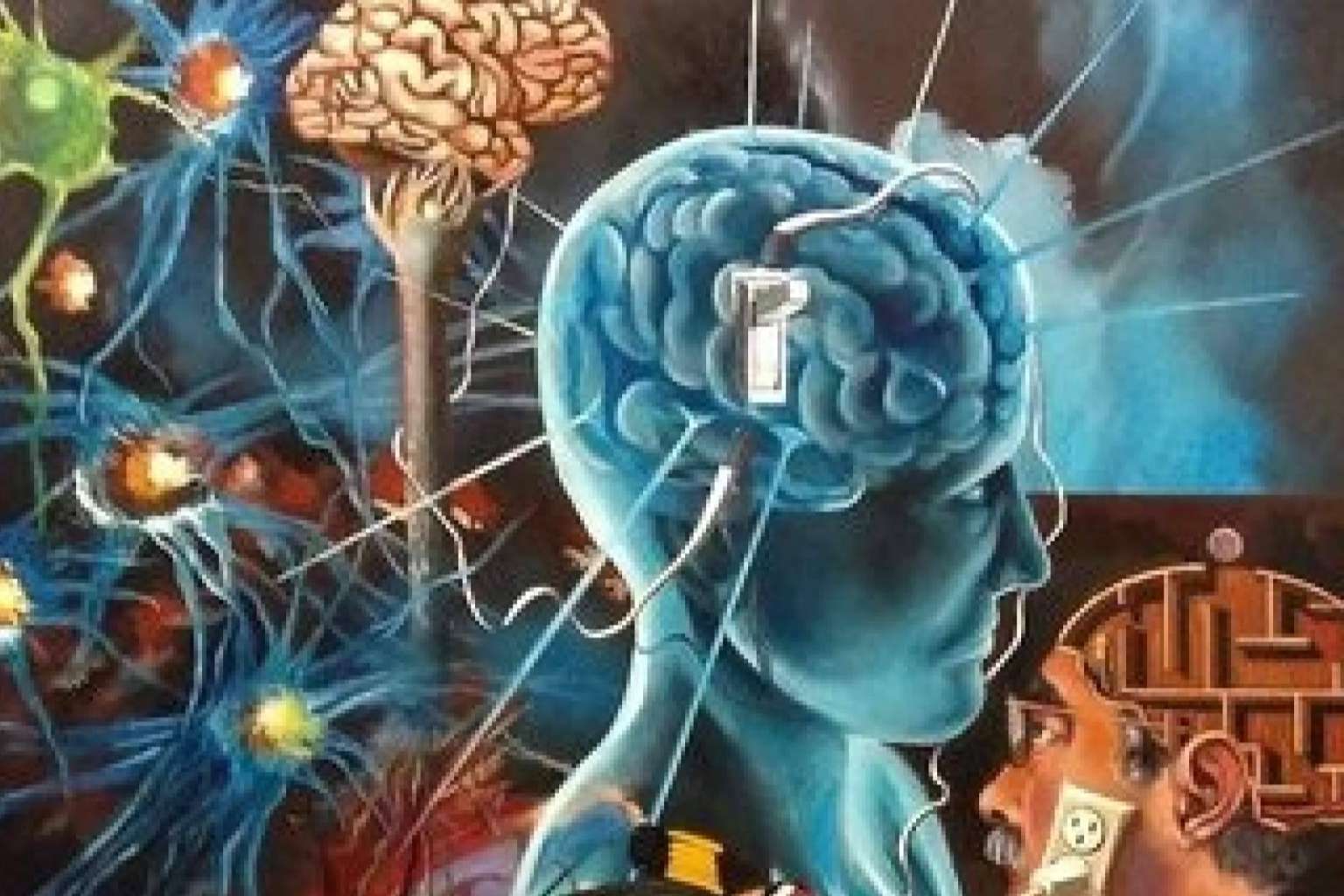 El cerebro, el gran misterio