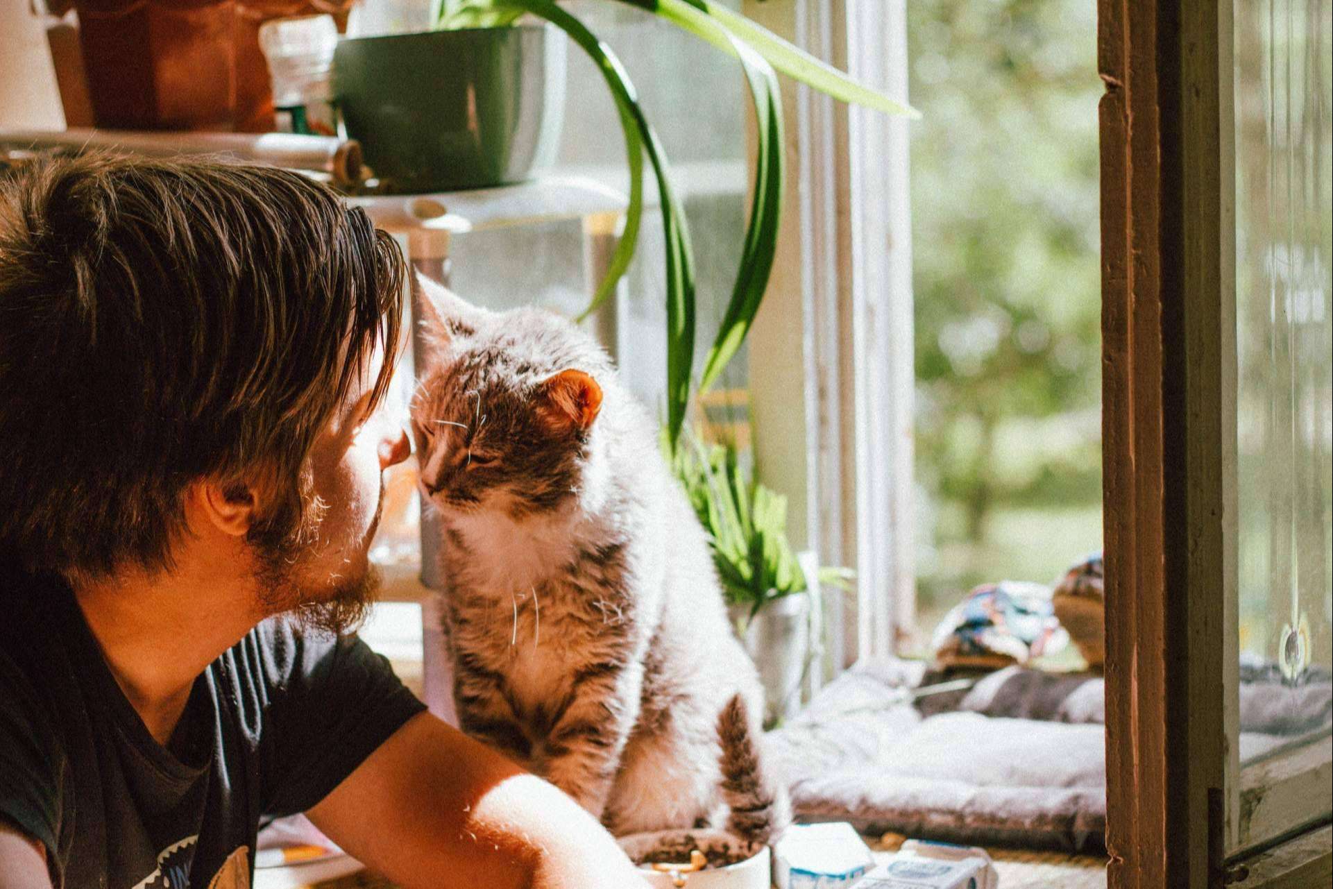 ¿Cómo Hygge Bienestar acompaña a todos en su propósito de año nuevo a una vida más tranquila?