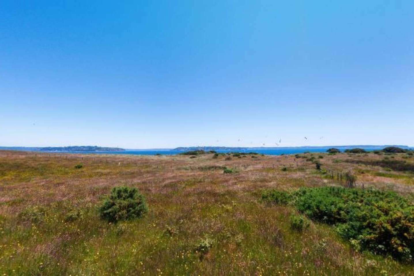 Latitudes Australes está redefiniendo el mercado de parcelas en el sur de Chile