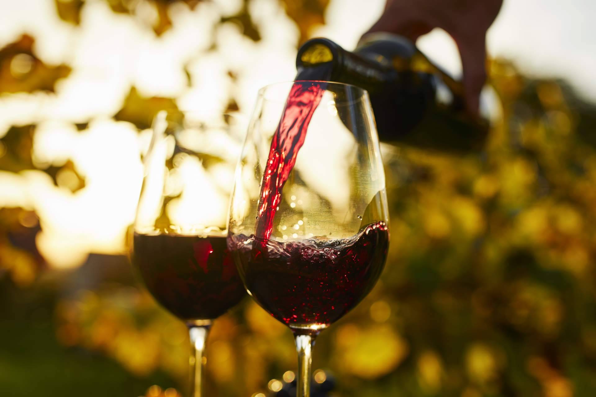 Cómo es la nueva imagen del consultor de ventas en la distribución de vinos