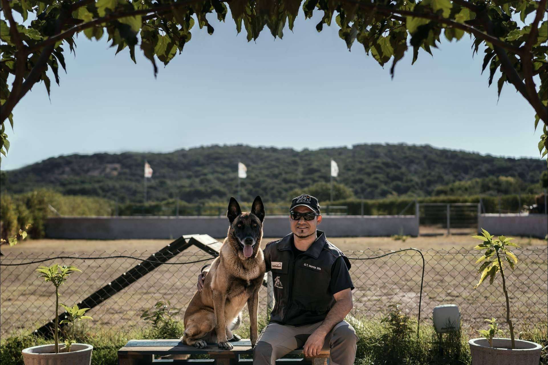 Monte Ida, una residencia con zonas de esparcimiento para perros en Madrid