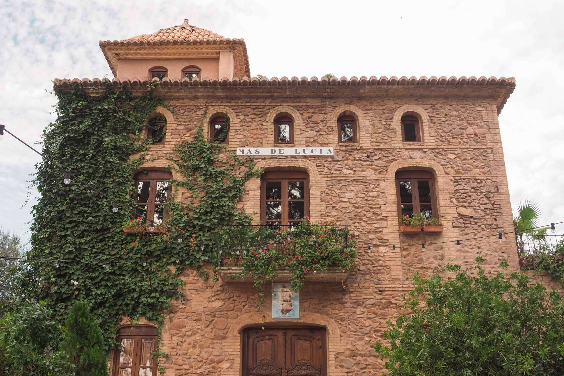 El banquete de mandarinas es un tributo a la conexión entre Lucía y Cía. y el Mas de Lucía