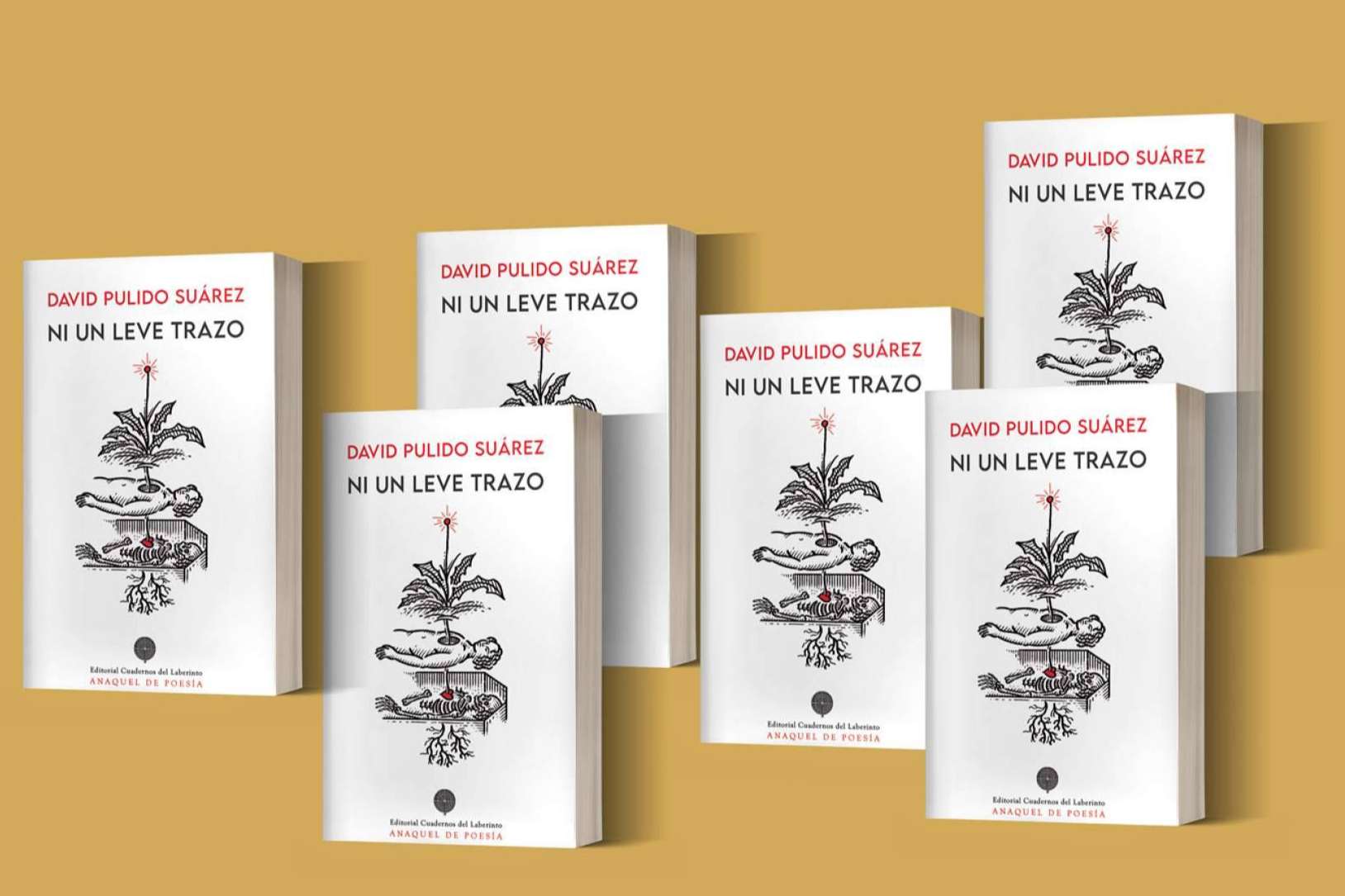 'Ni un leve trazo', los poemas del canario David Pulido reciben el aplauso unánime de los lectores